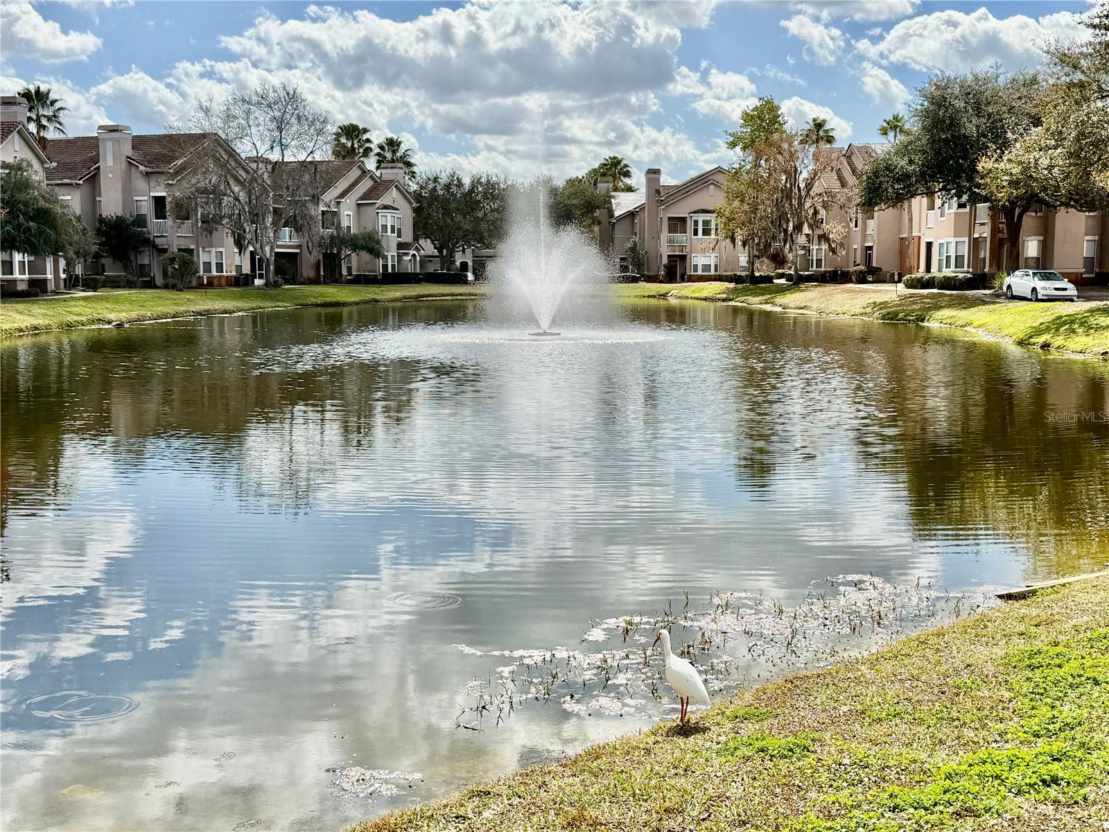 18013 VILLA CREEK DR, TAMPA, FL — photo 46