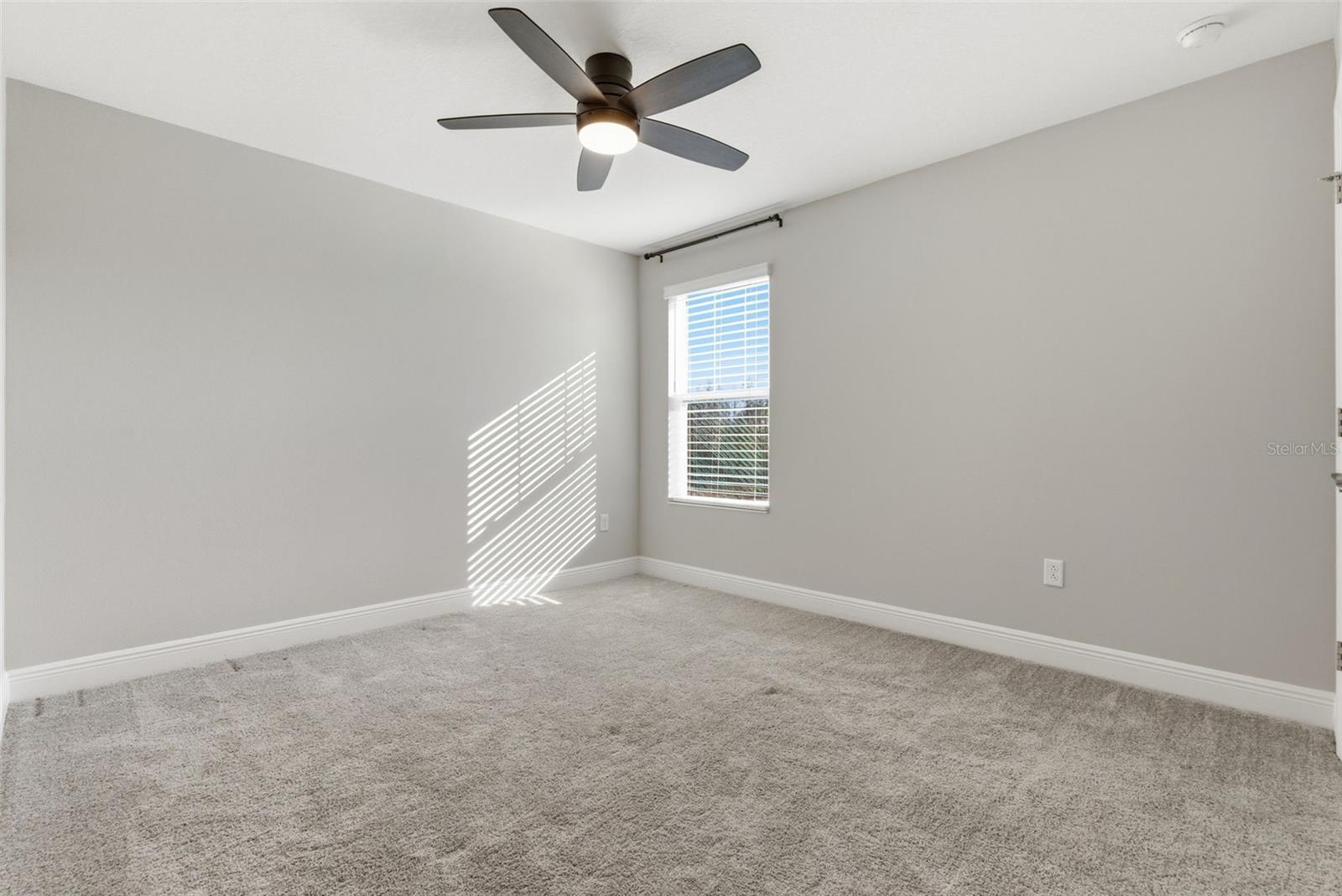 17674 EVERLONG DR, LAND O LAKES, FL — photo 18