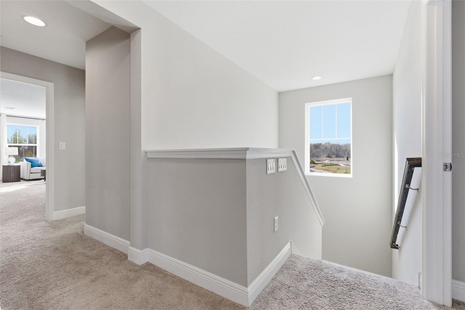 17674 EVERLONG DR, LAND O LAKES, FL — photo 21