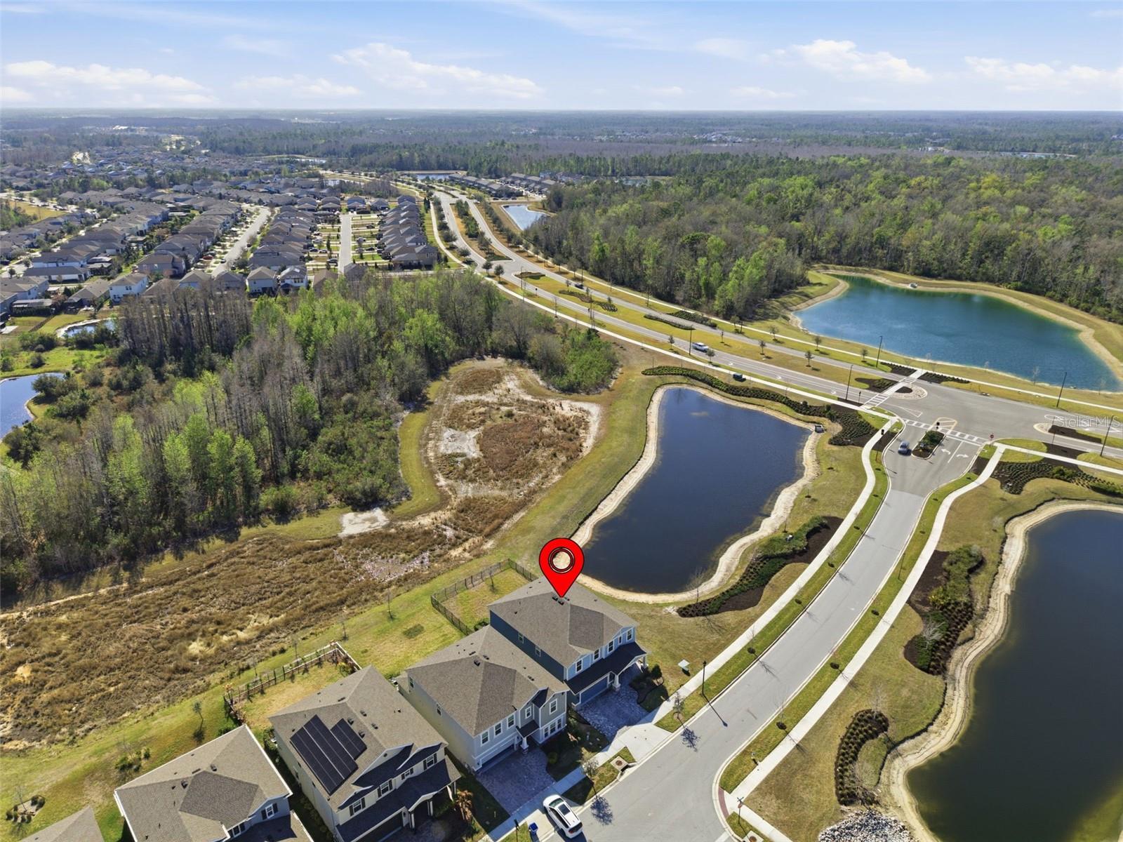 17674 EVERLONG DR, LAND O LAKES, FL — photo 45