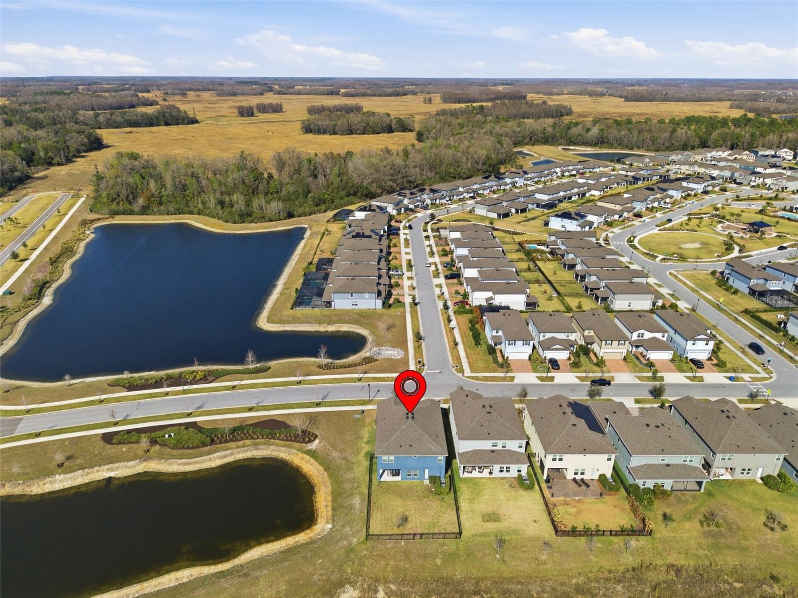 17674 EVERLONG DR, LAND O LAKES, FL — photo 46