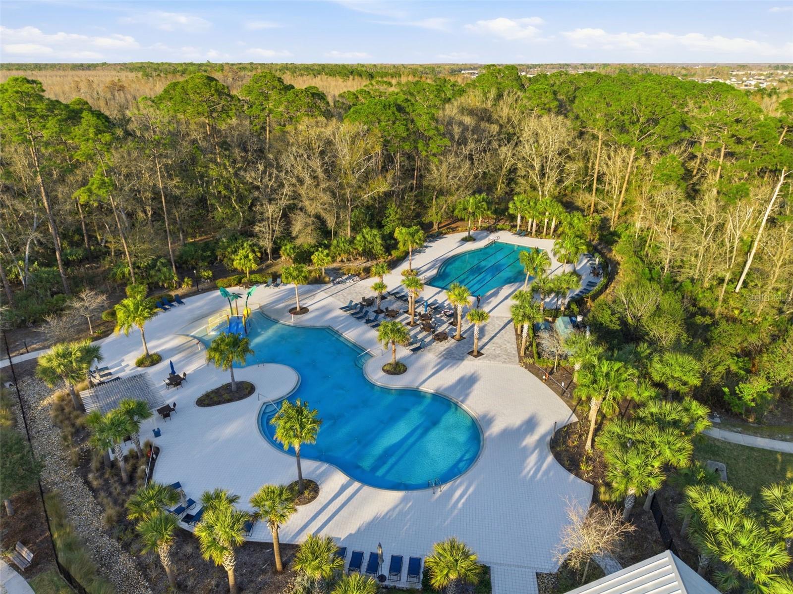 17674 EVERLONG DR, LAND O LAKES, FL — photo 48