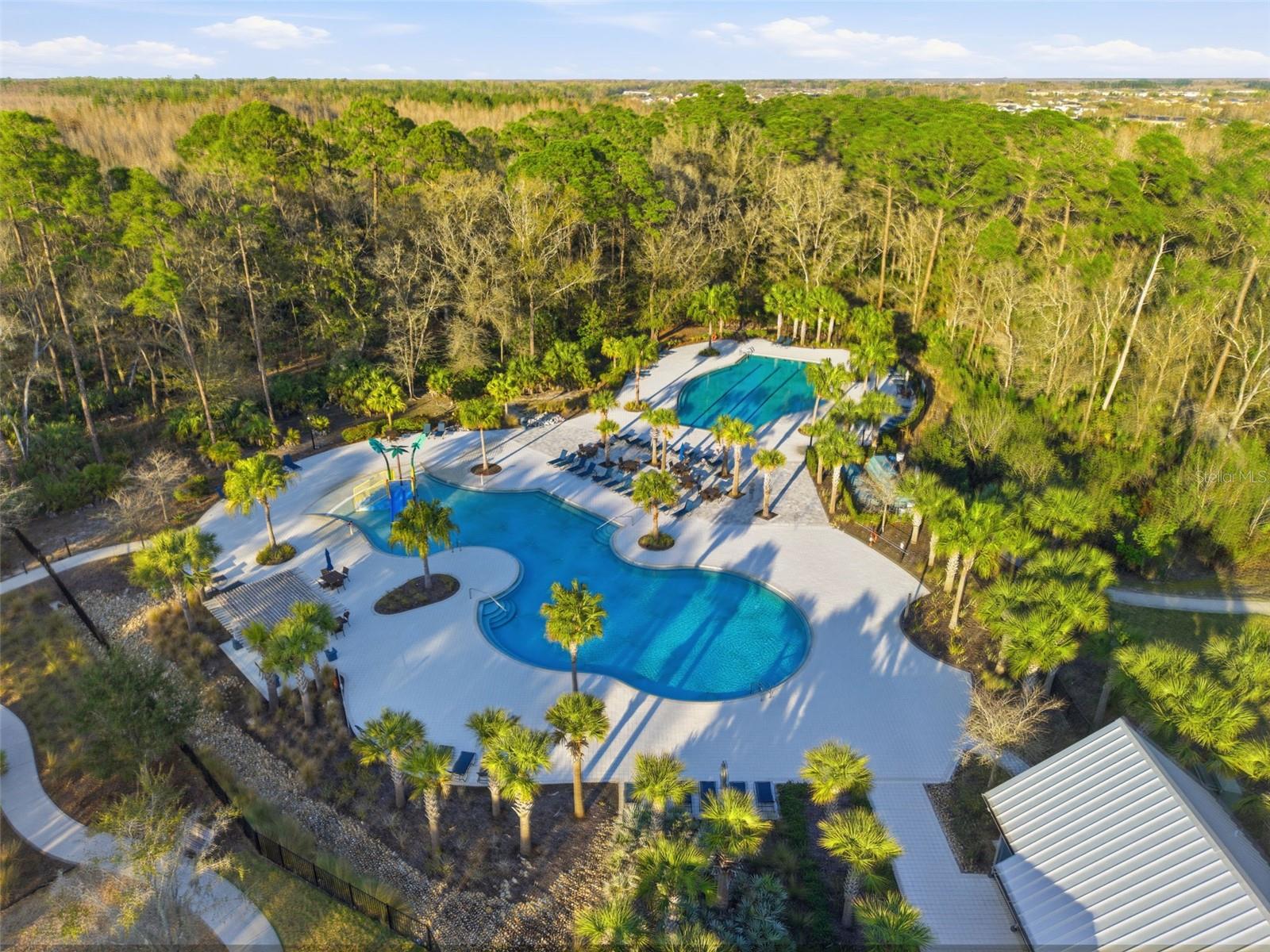 17674 EVERLONG DR, LAND O LAKES, FL — photo 49