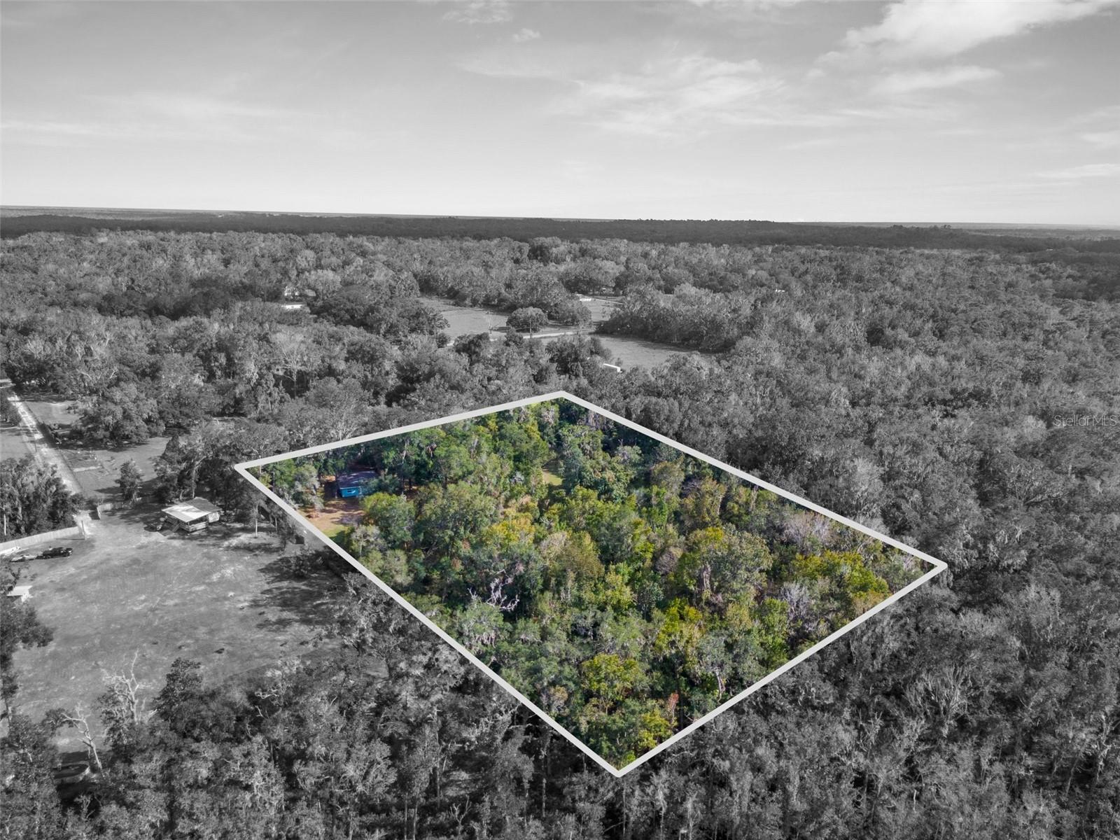 16145 SNOW MEMORIAL HWY, BROOKSVILLE, FL — photo 25