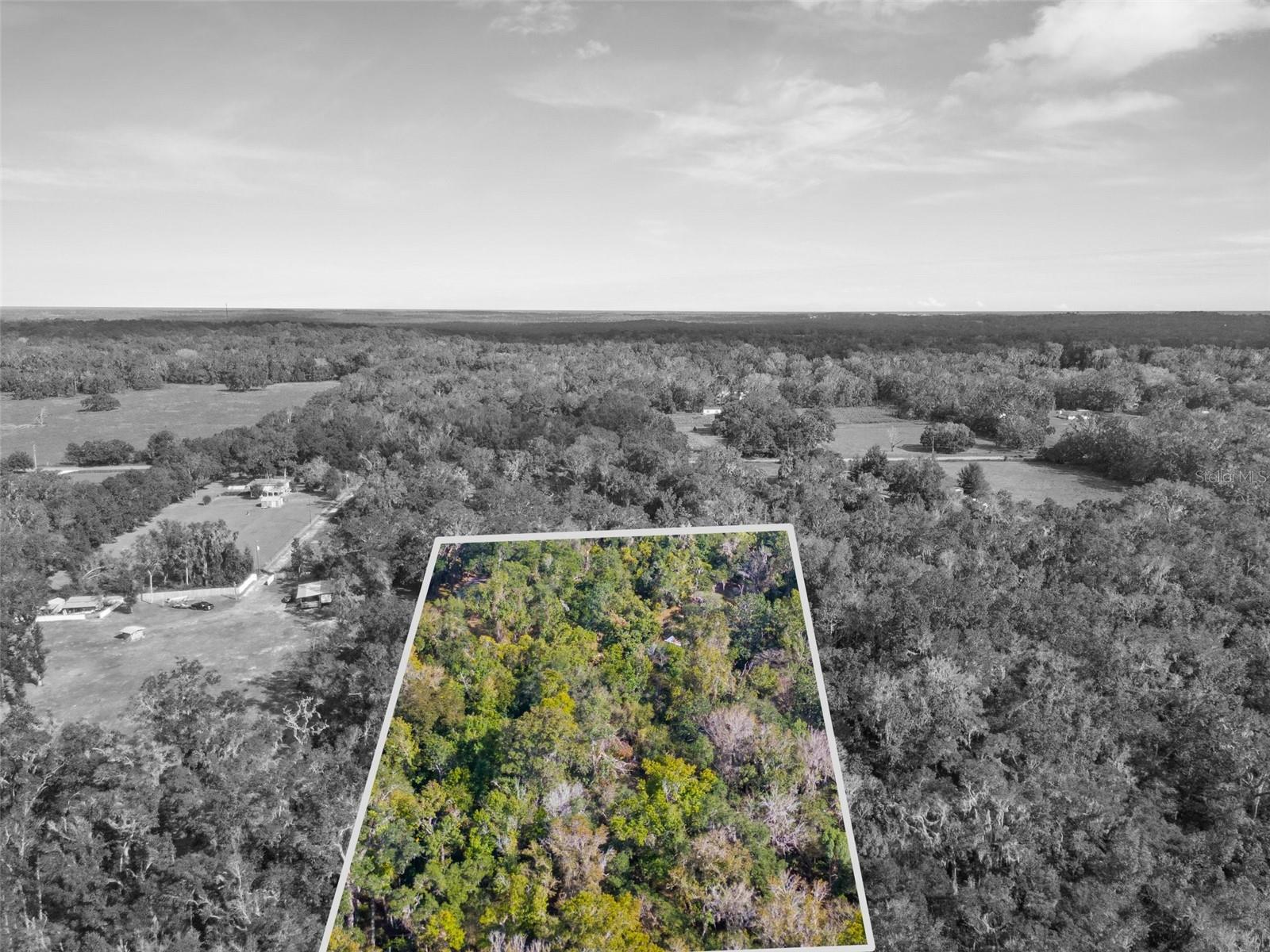 16145 SNOW MEMORIAL HWY, BROOKSVILLE, FL — photo 27