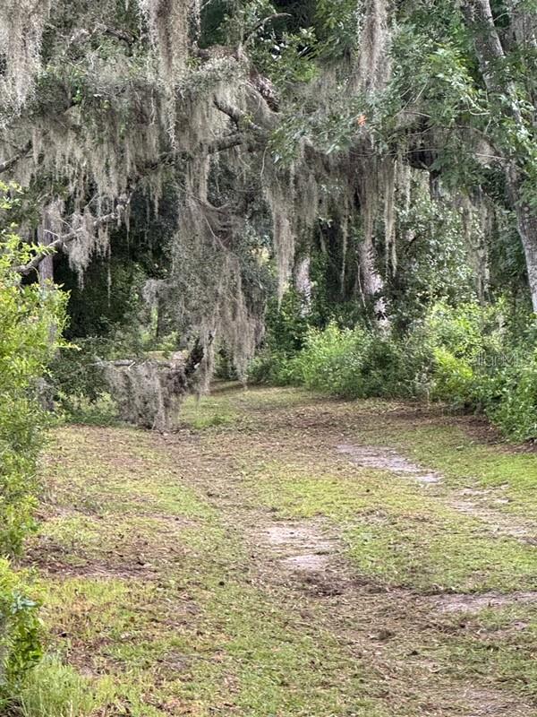16145 SNOW MEMORIAL HWY, BROOKSVILLE, FL — photo 31