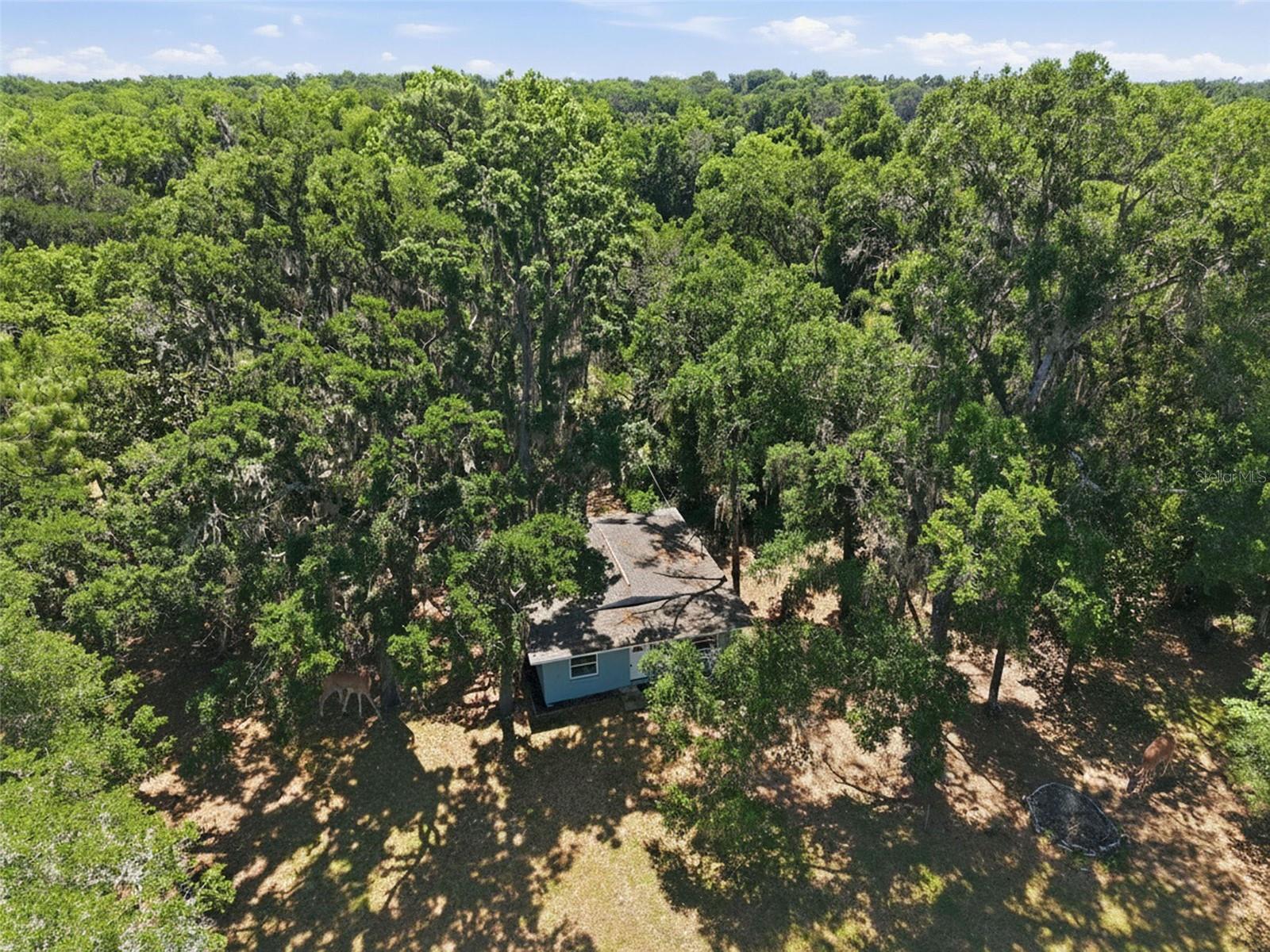 16145 SNOW MEMORIAL HWY, BROOKSVILLE, FL — photo 2