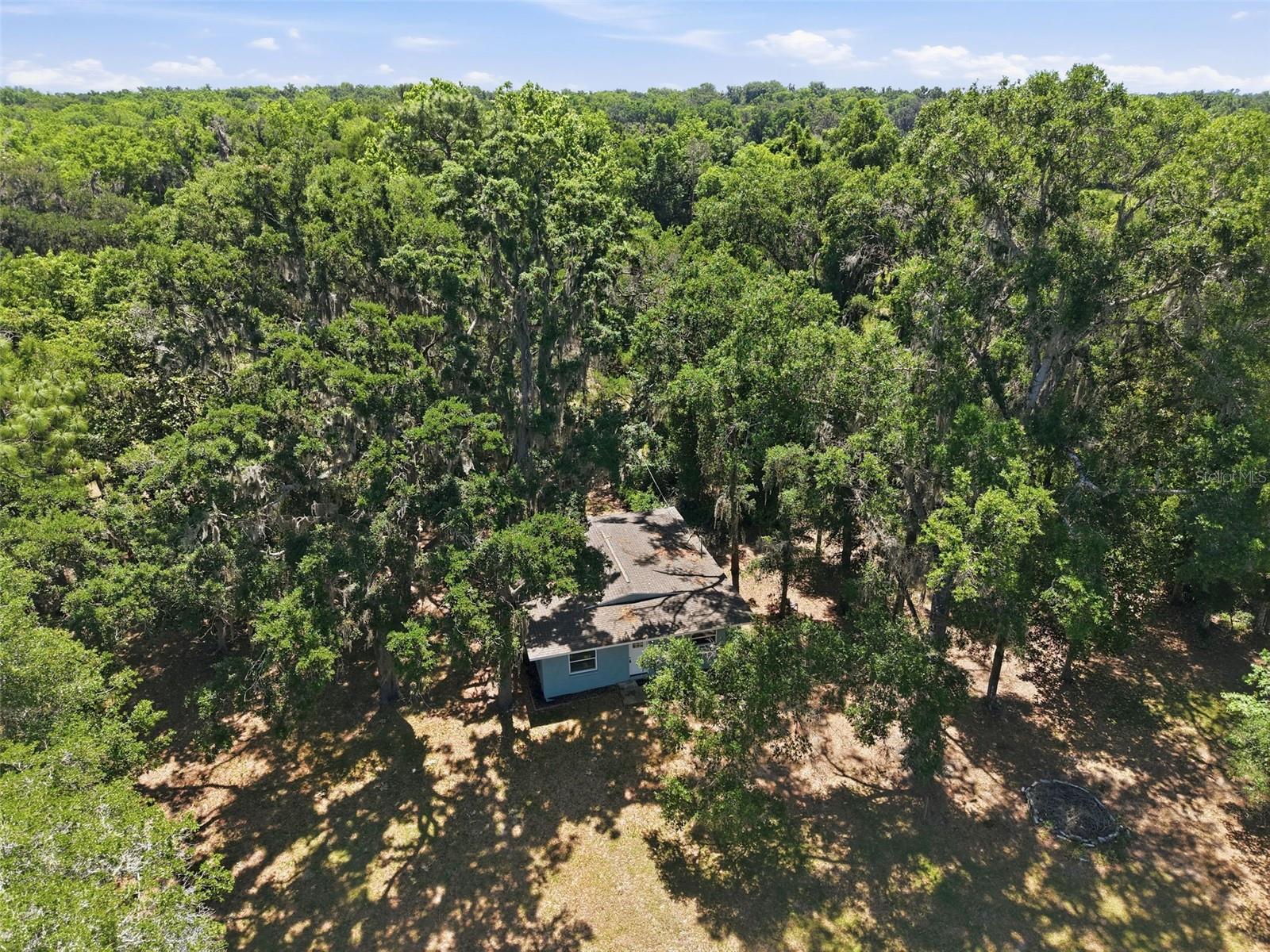 16145 SNOW MEMORIAL HWY, BROOKSVILLE, FL — photo 42