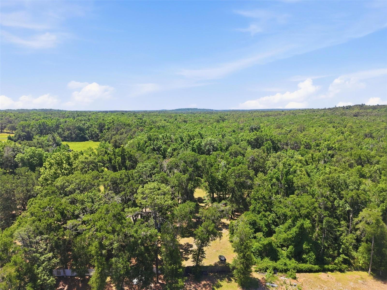 16145 SNOW MEMORIAL HWY, BROOKSVILLE, FL — photo 43