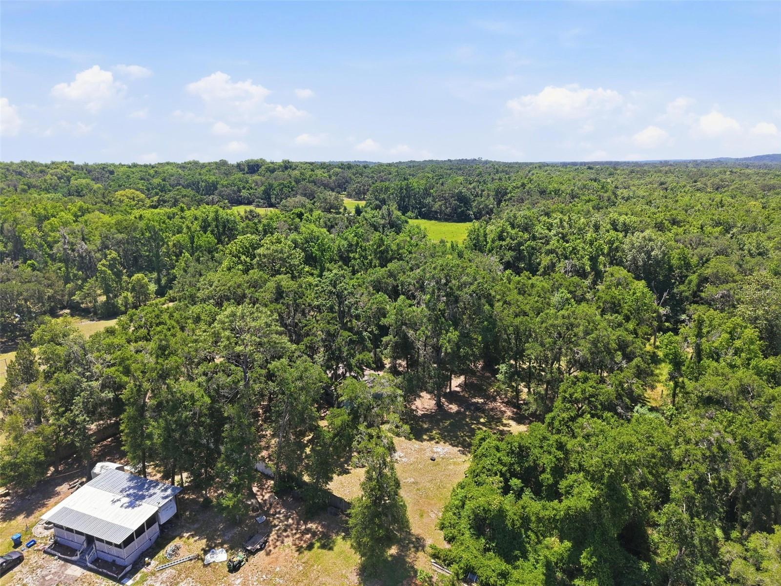 16145 SNOW MEMORIAL HWY, BROOKSVILLE, FL — photo 44