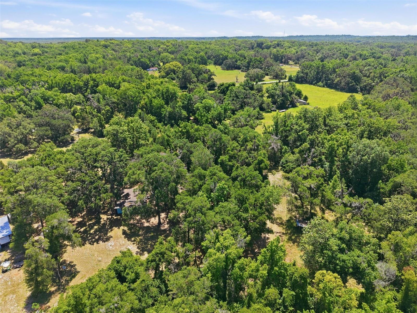 16145 SNOW MEMORIAL HWY, BROOKSVILLE, FL — photo 45