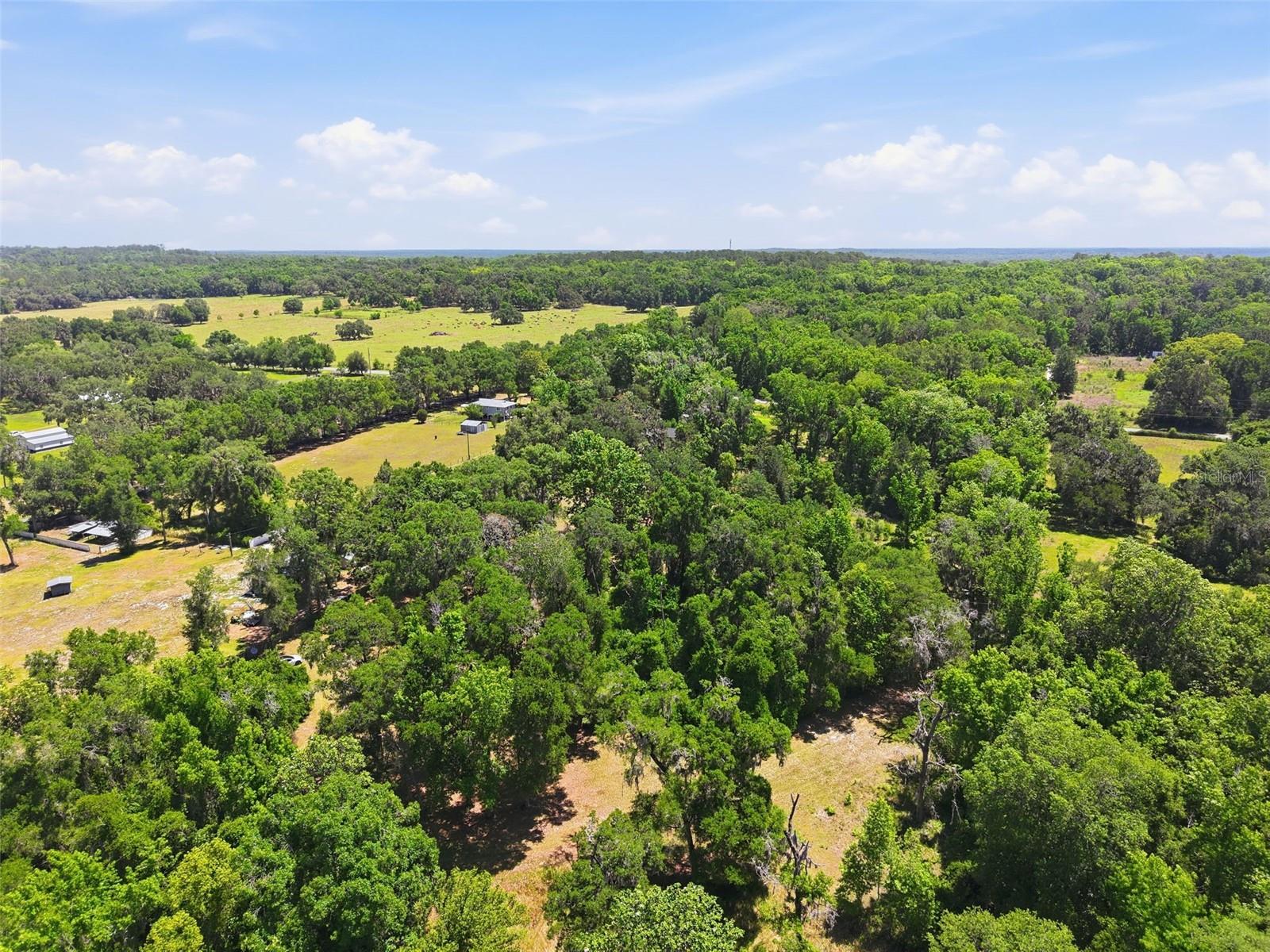 16145 SNOW MEMORIAL HWY, BROOKSVILLE, FL — photo 46