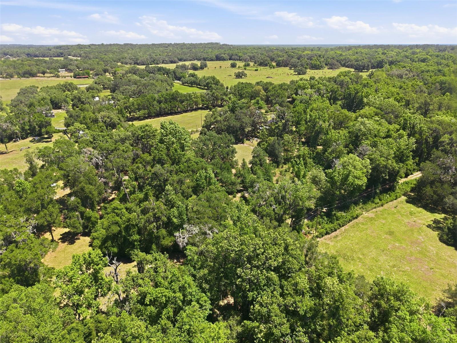 16145 SNOW MEMORIAL HWY, BROOKSVILLE, FL — photo 47