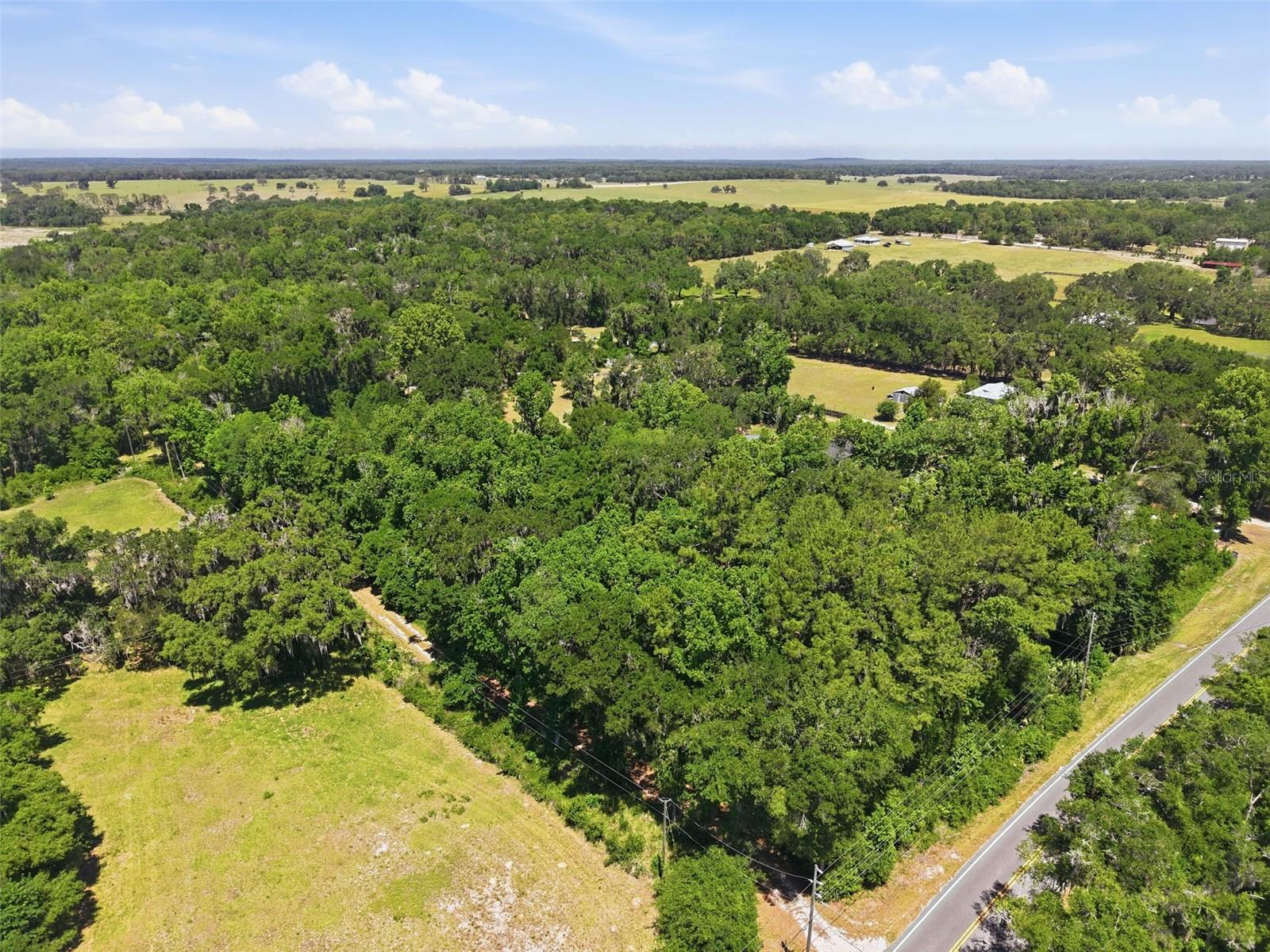 16145 SNOW MEMORIAL HWY, BROOKSVILLE, FL — photo 48