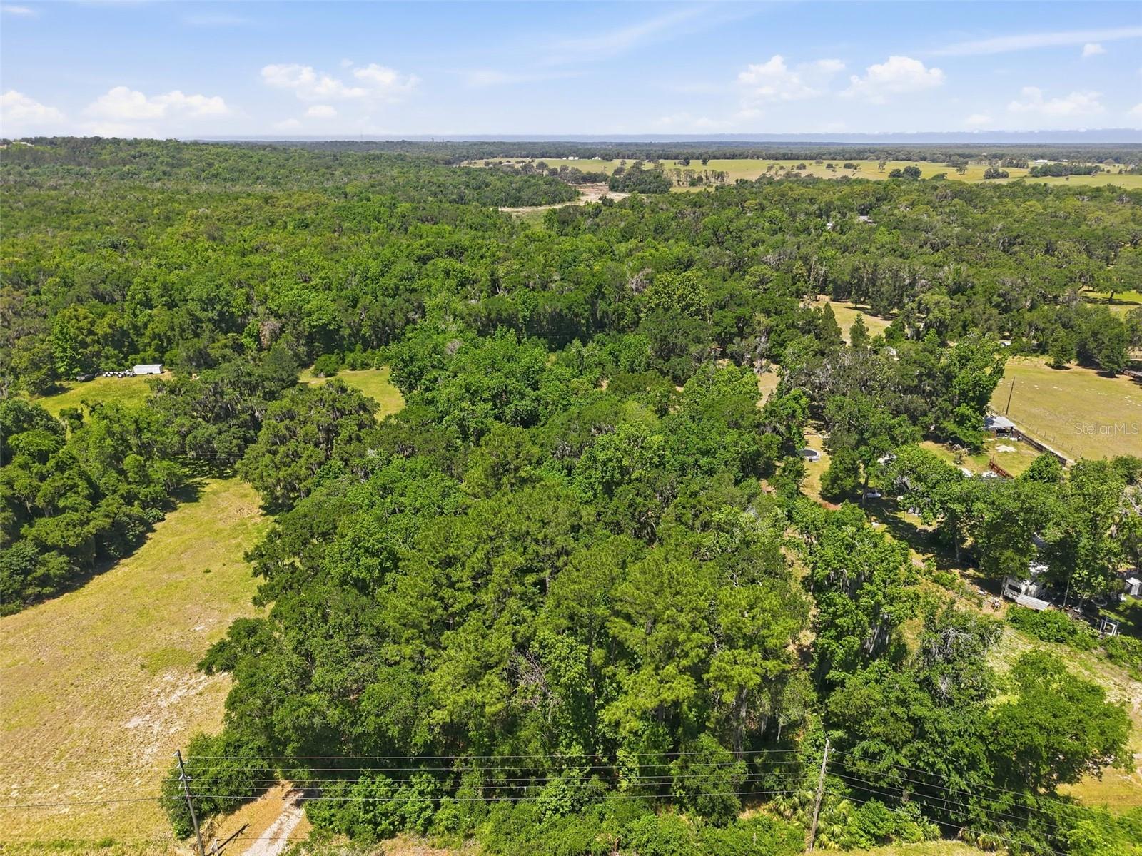 16145 SNOW MEMORIAL HWY, BROOKSVILLE, FL — photo 49