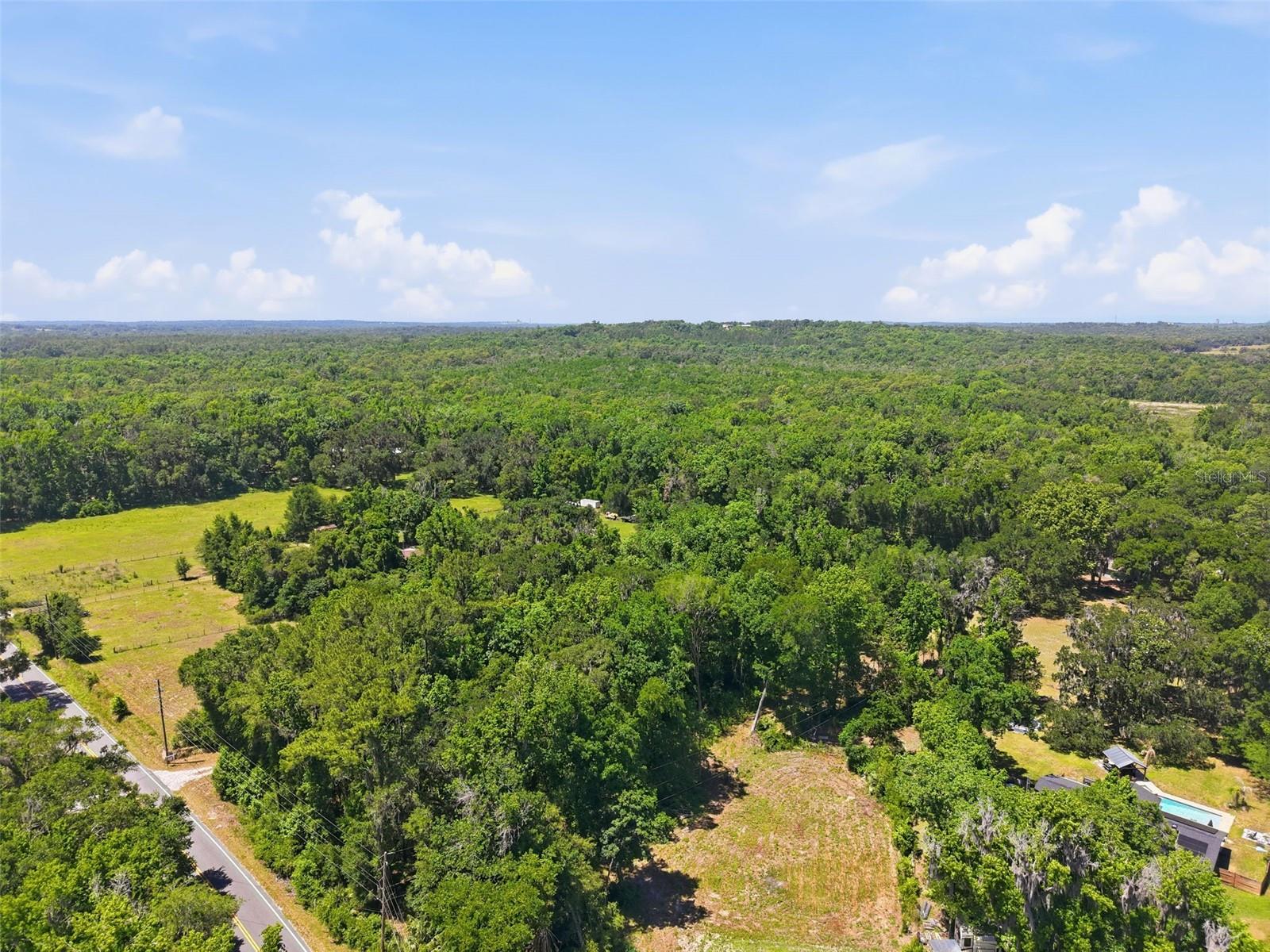 16145 SNOW MEMORIAL HWY, BROOKSVILLE, FL — photo 50