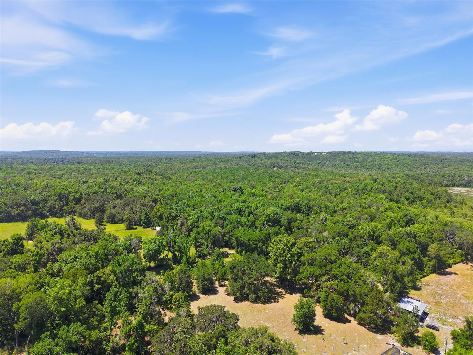 16145 SNOW MEMORIAL HWY, BROOKSVILLE, FL — photo 51
