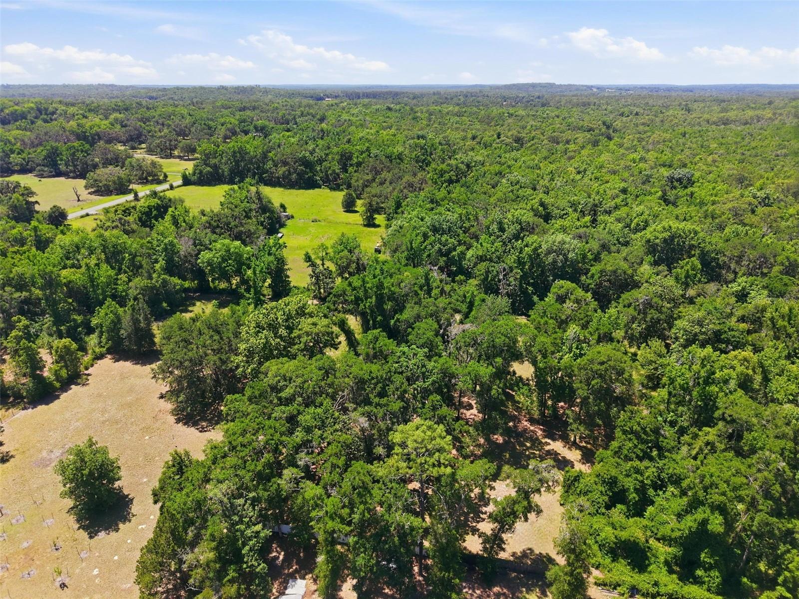 16145 SNOW MEMORIAL HWY, BROOKSVILLE, FL — photo 52