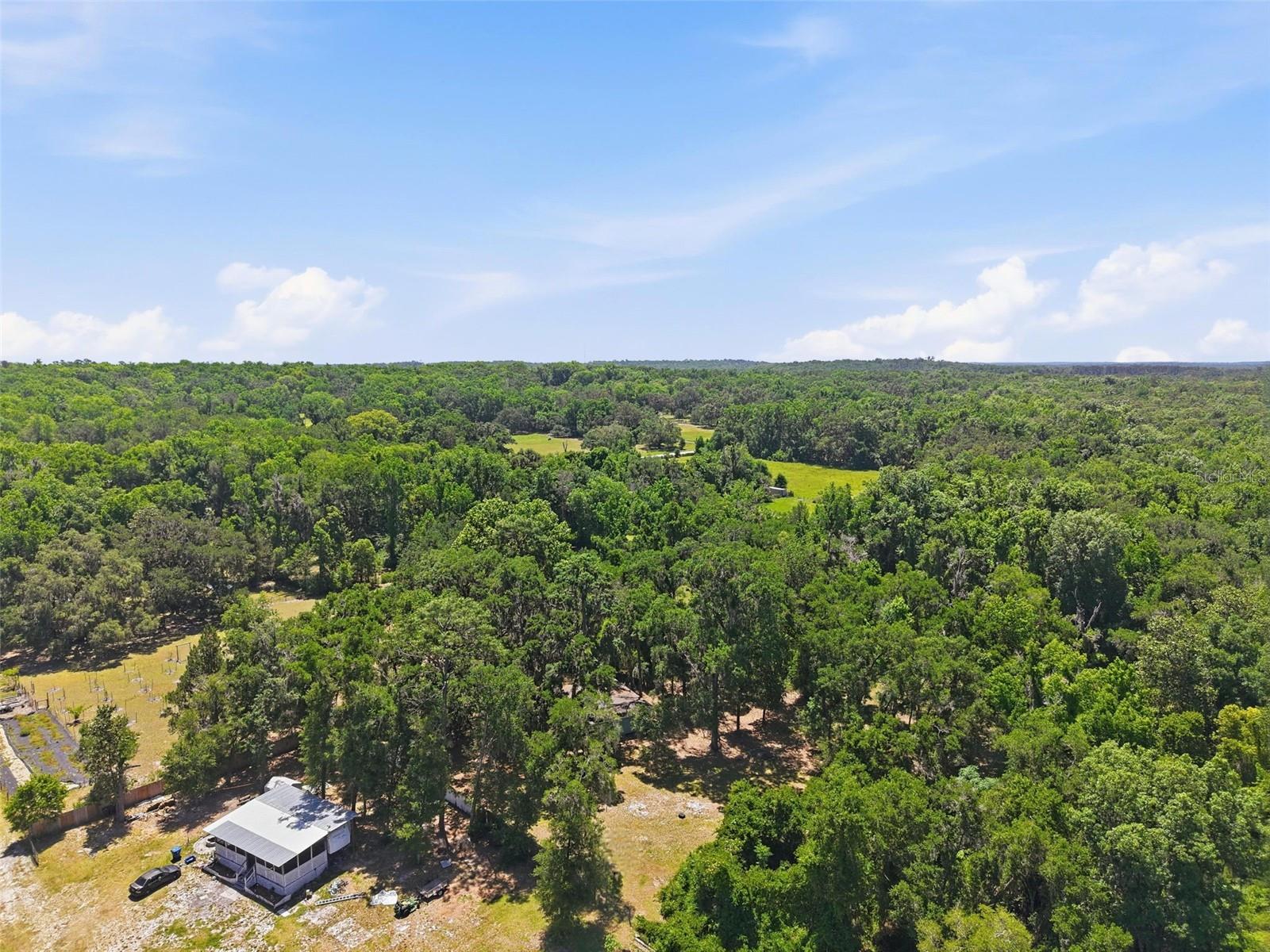 16145 SNOW MEMORIAL HWY, BROOKSVILLE, FL — photo 53