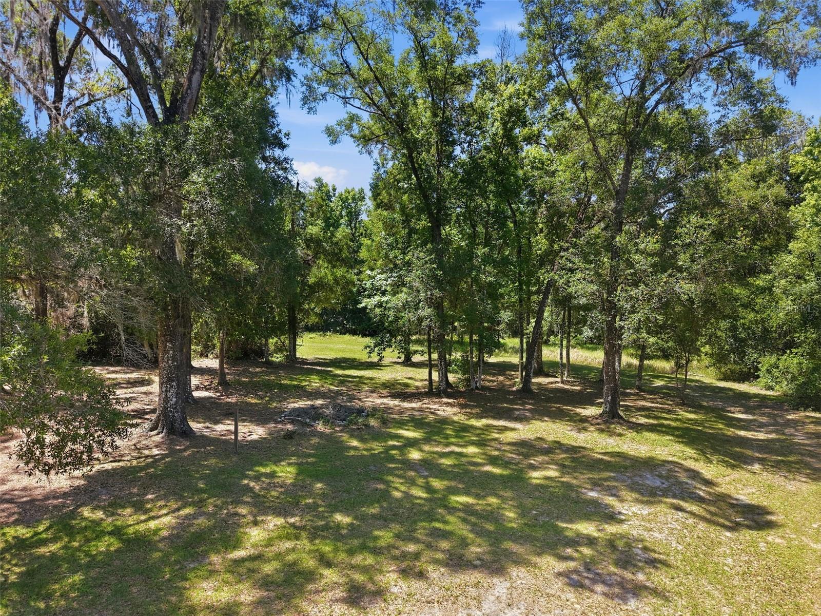 16145 SNOW MEMORIAL HWY, BROOKSVILLE, FL — photo 55