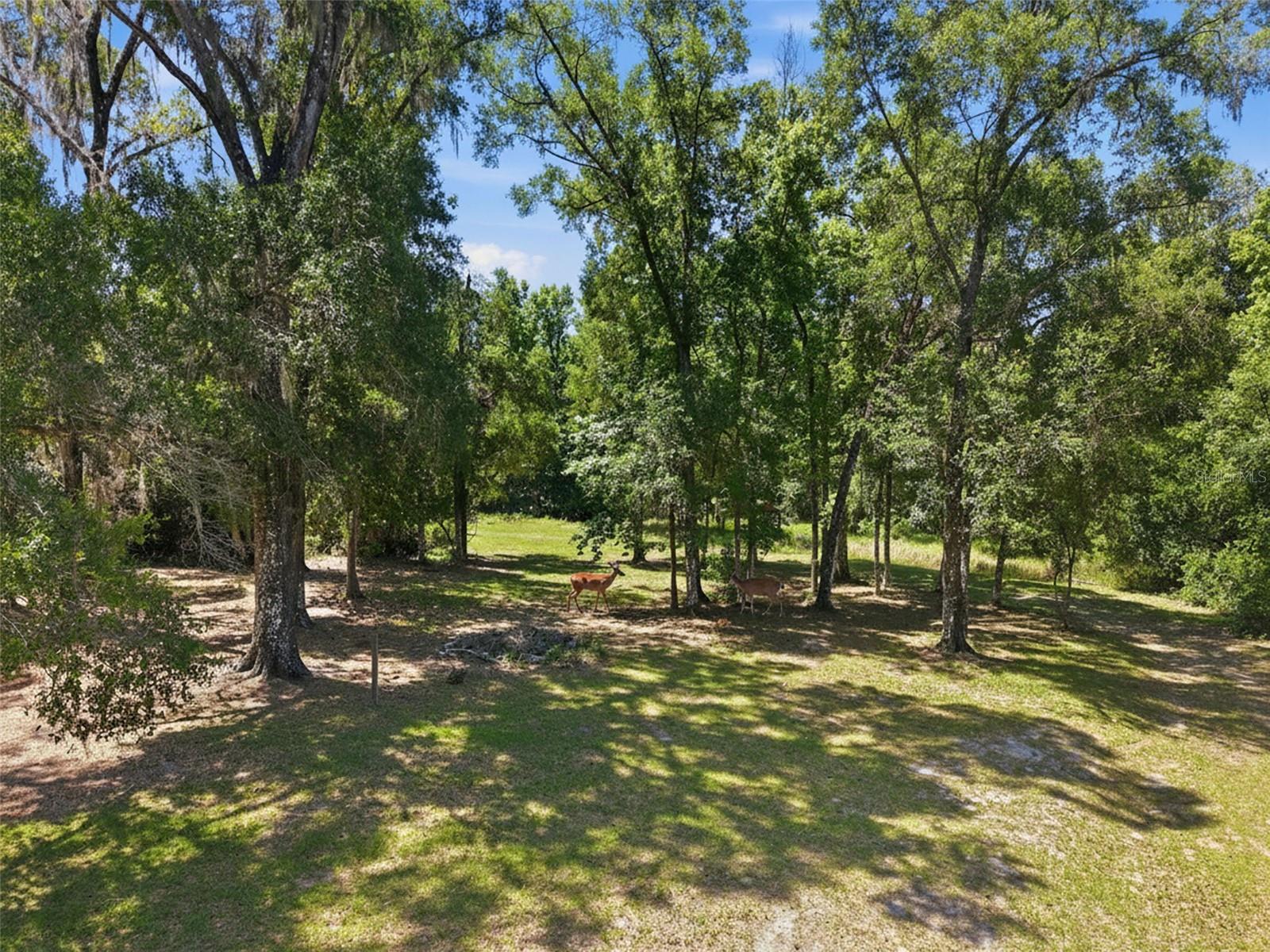 16145 SNOW MEMORIAL HWY, BROOKSVILLE, FL — photo 59