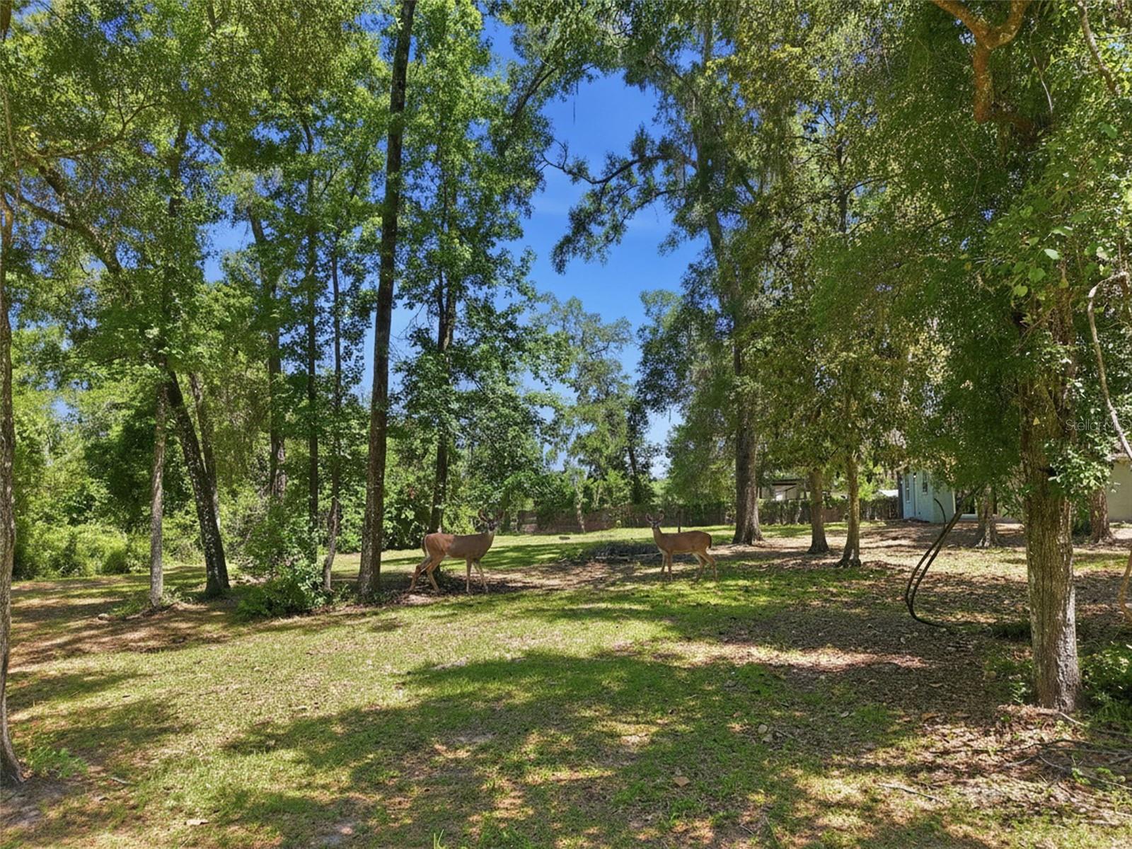 16145 SNOW MEMORIAL HWY, BROOKSVILLE, FL — photo 60