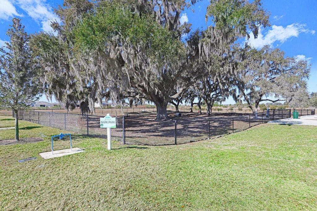 10385 ECHO DOCK LOOP, SAN ANTONIO, FL — photo 29