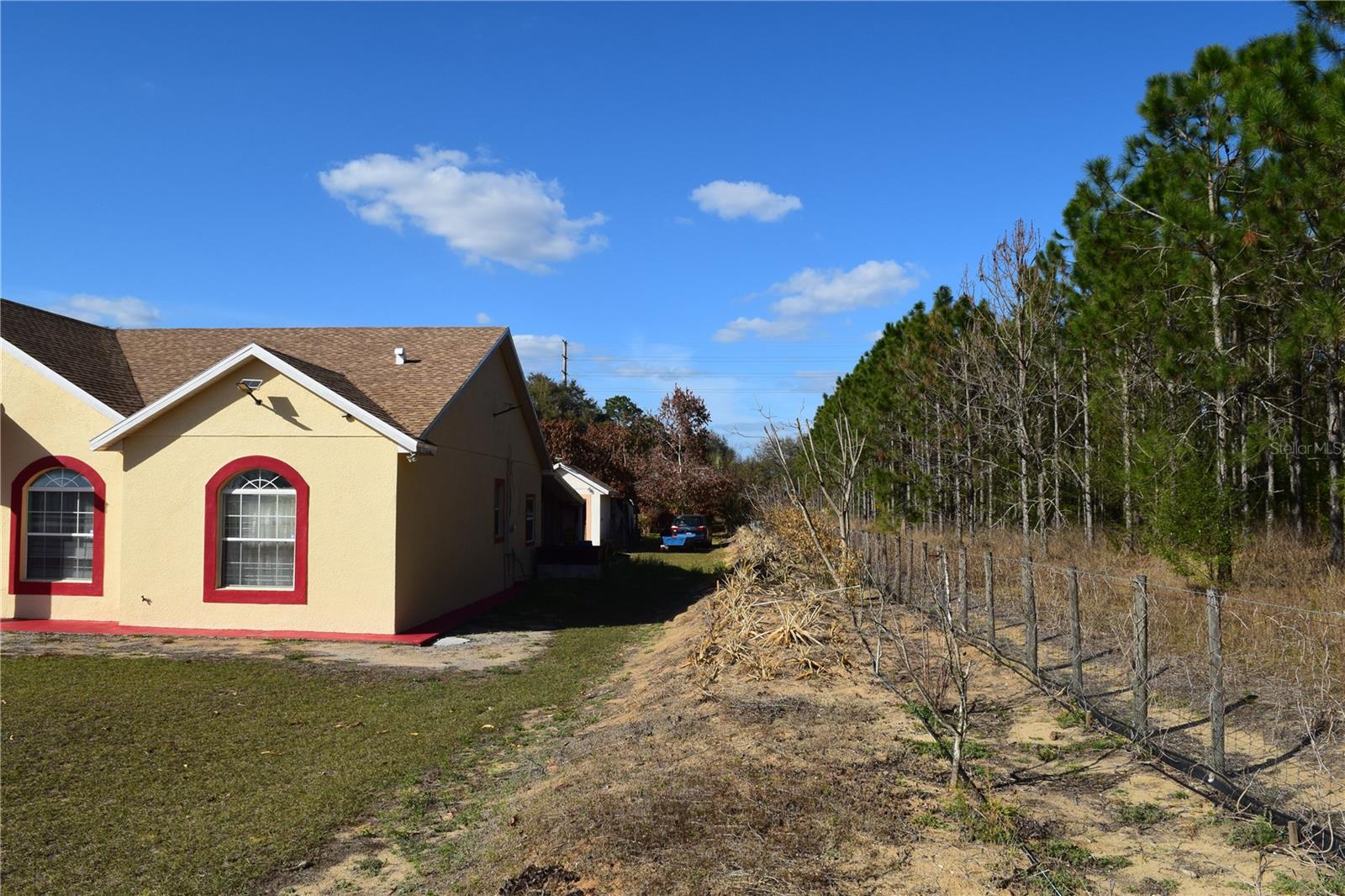 7901 N CHERRY LAKE GROVES RD, GROVELAND, FL — photo 22
