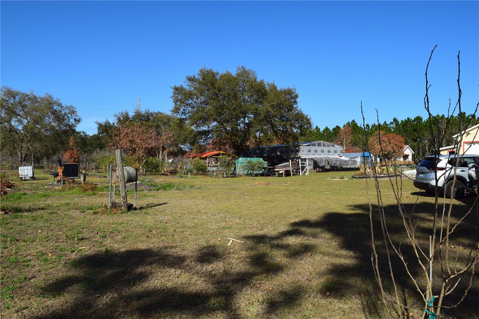 7901 N CHERRY LAKE GROVES RD, GROVELAND, FL — photo 82
