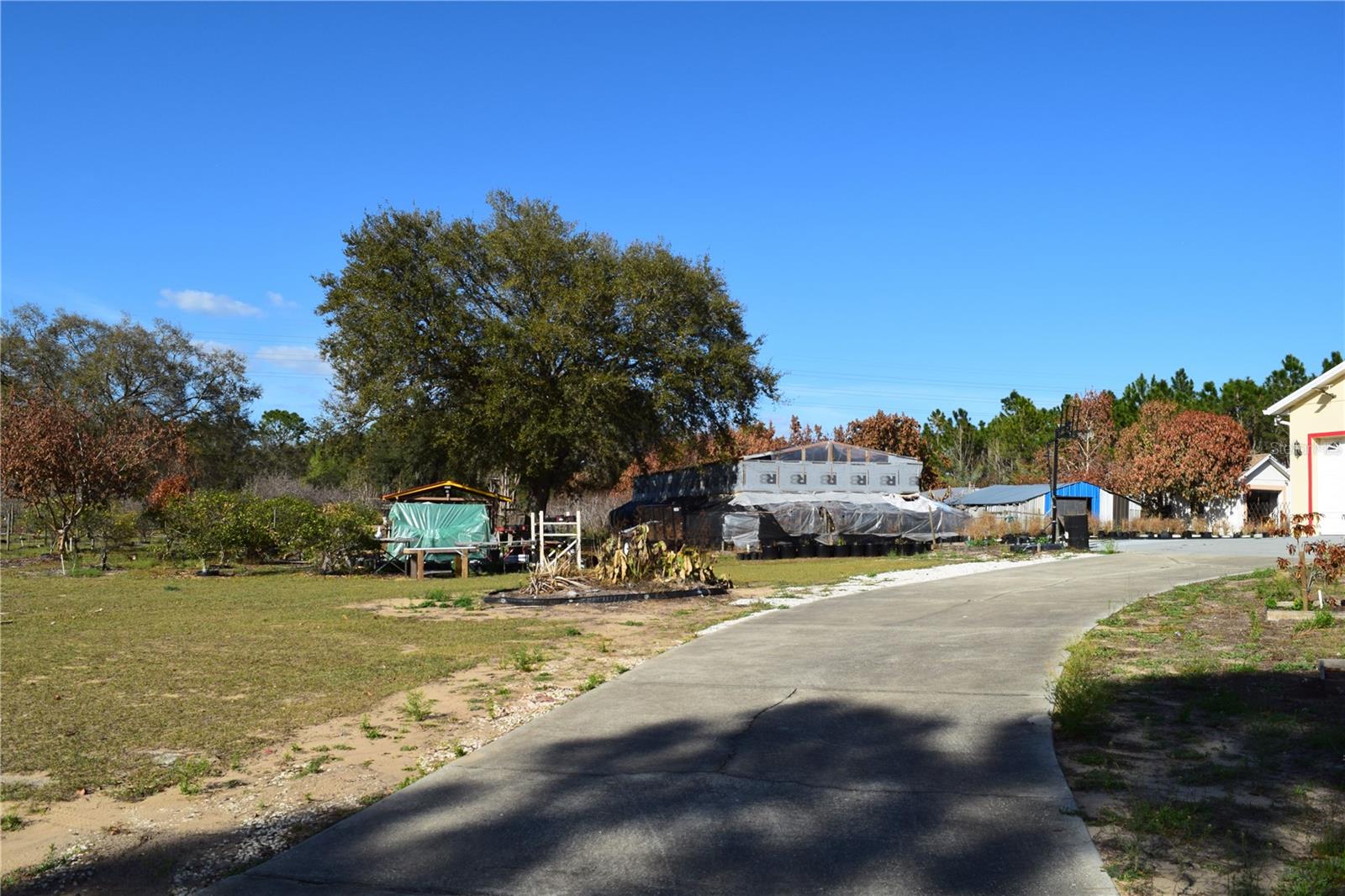 7901 N CHERRY LAKE GROVES RD, GROVELAND, FL — photo 85