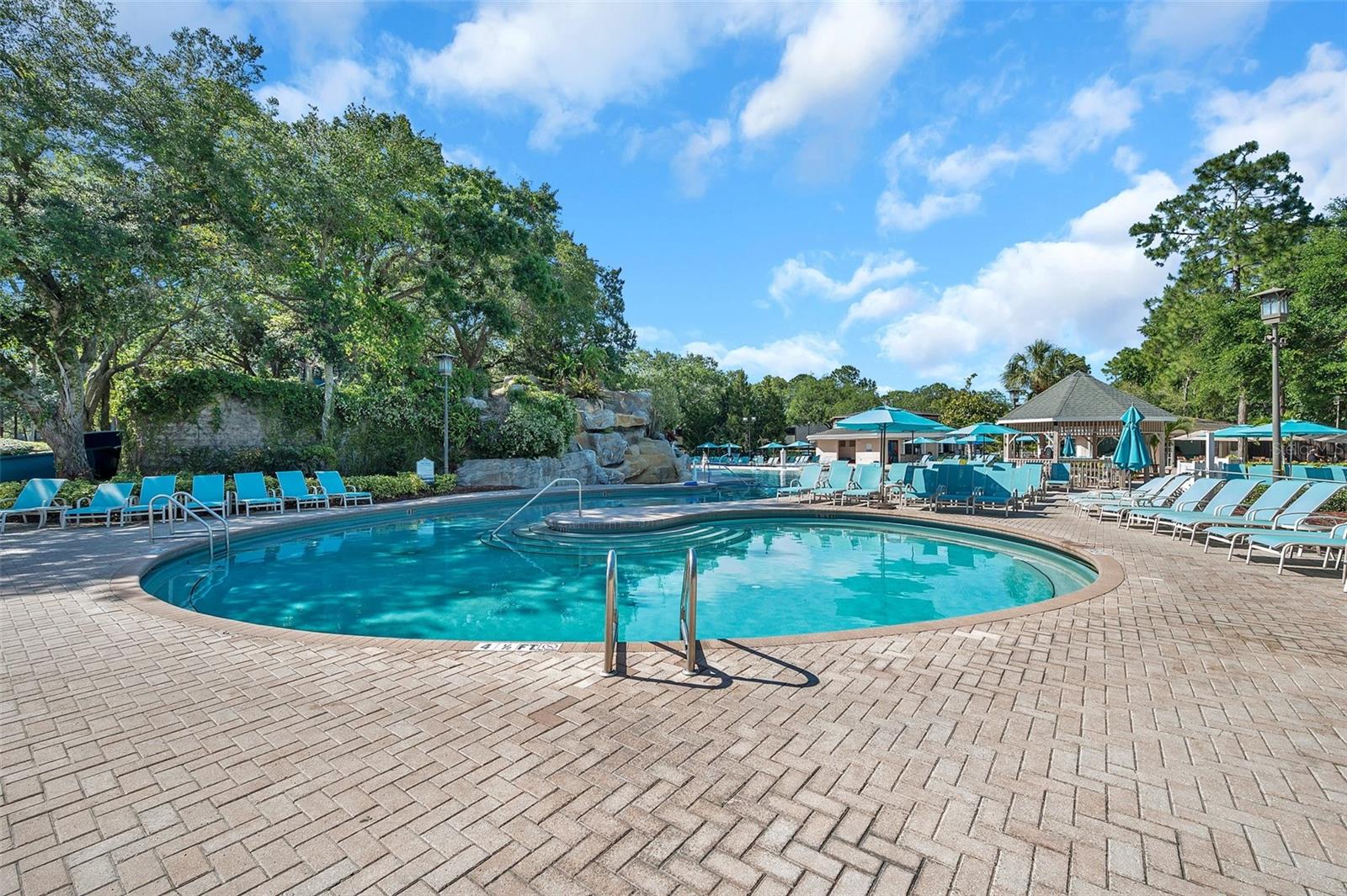 36750 US HIGHWAY 19 N #27101, PALM HARBOR, FL — photo 72