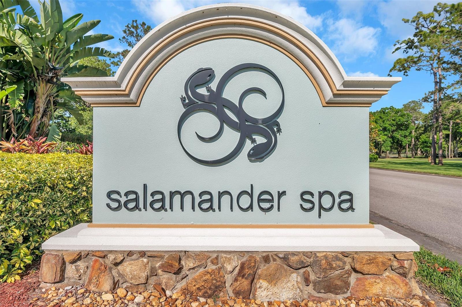 36750 US HIGHWAY 19 N #27101, PALM HARBOR, FL — photo 73
