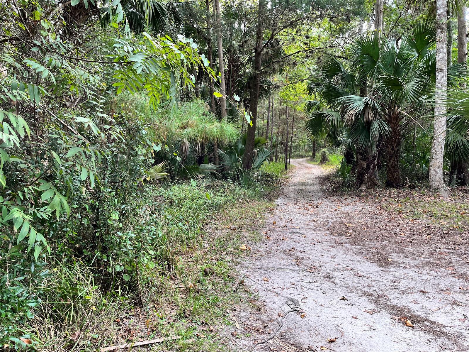 2875 NE 102ND AVENUE RD, SILVER SPRINGS, FL — photo 57