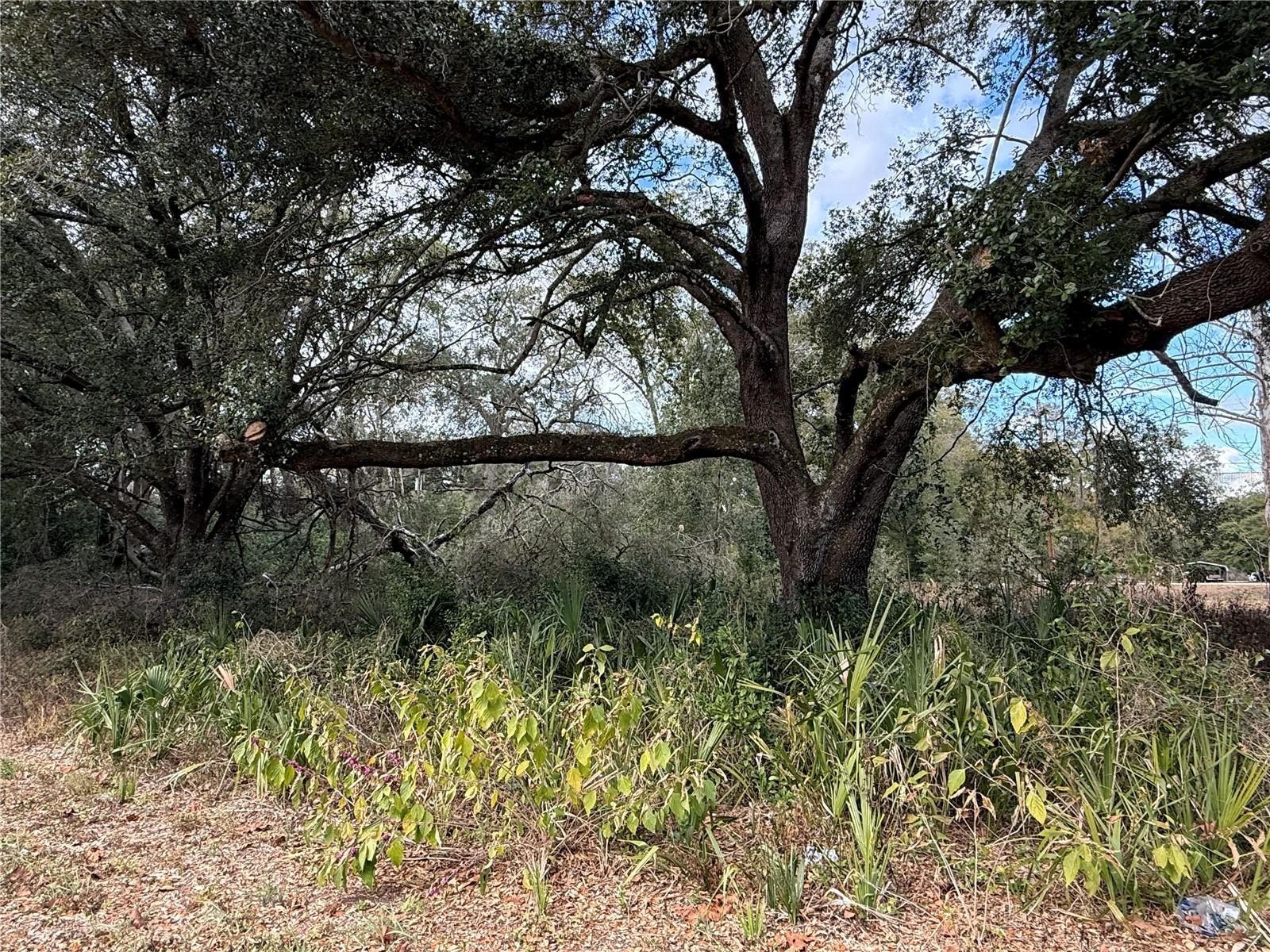 0 HILDA RD, DADE CITY, FL — photo 2