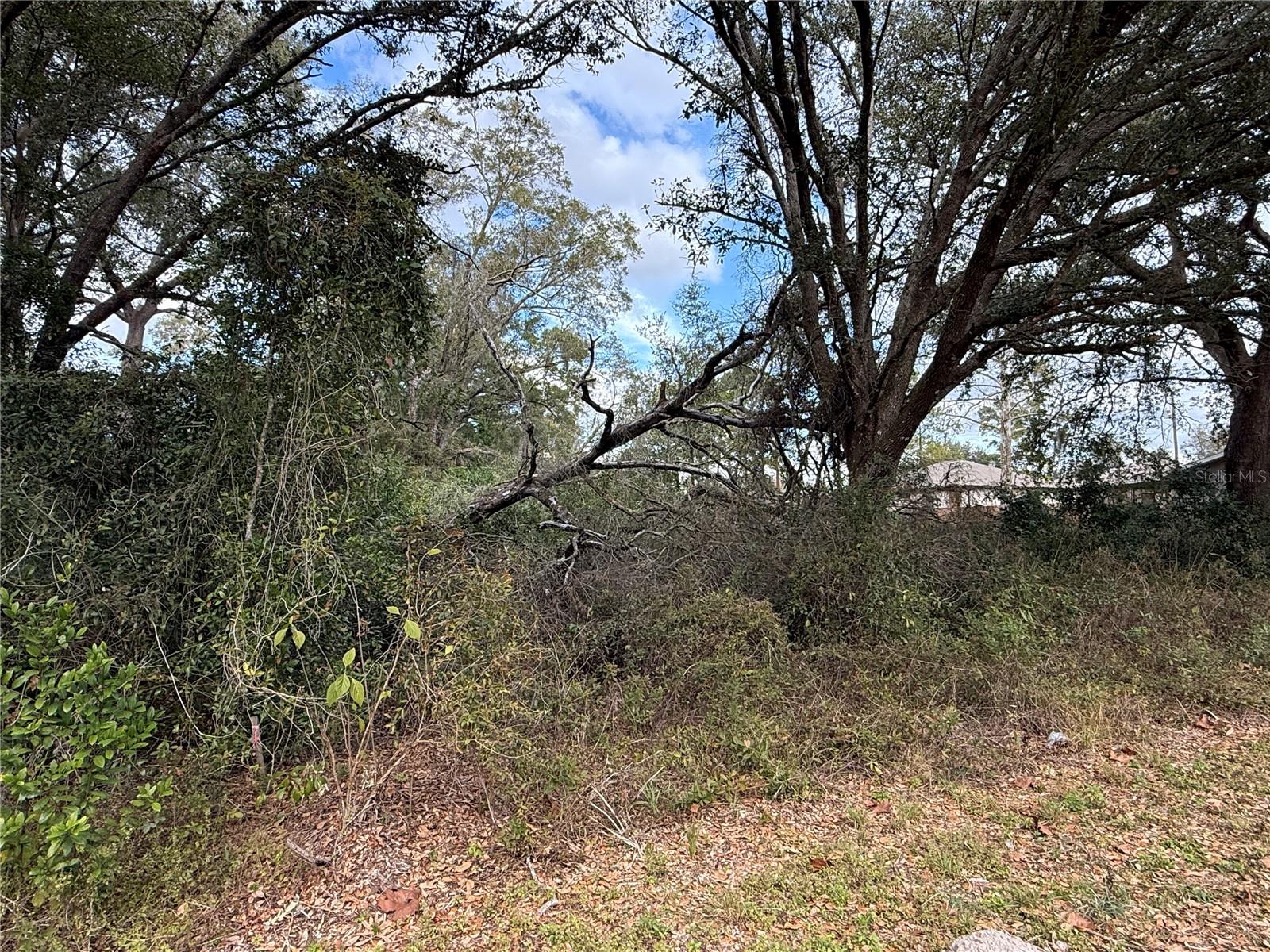 0 HILDA RD, DADE CITY, FL — photo 3