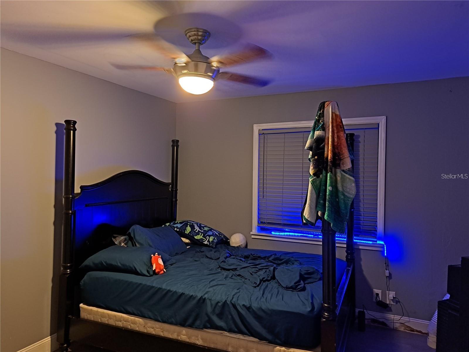 2814 N MARYLAND AVE, PLANT CITY, FL — photo 7