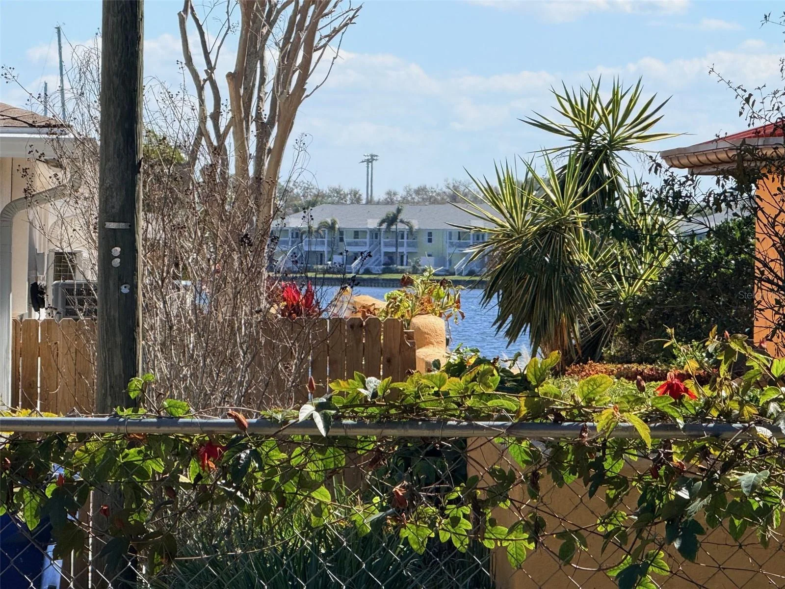 LING-A-MOR TER S, ST PETERSBURG, FL — photo 2