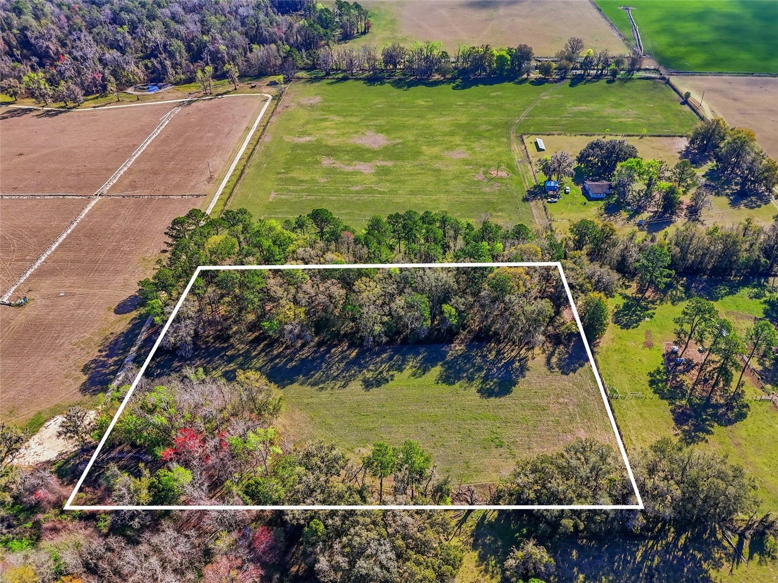 NW COUNTY RD 239, ALACHUA, FL — photo 3