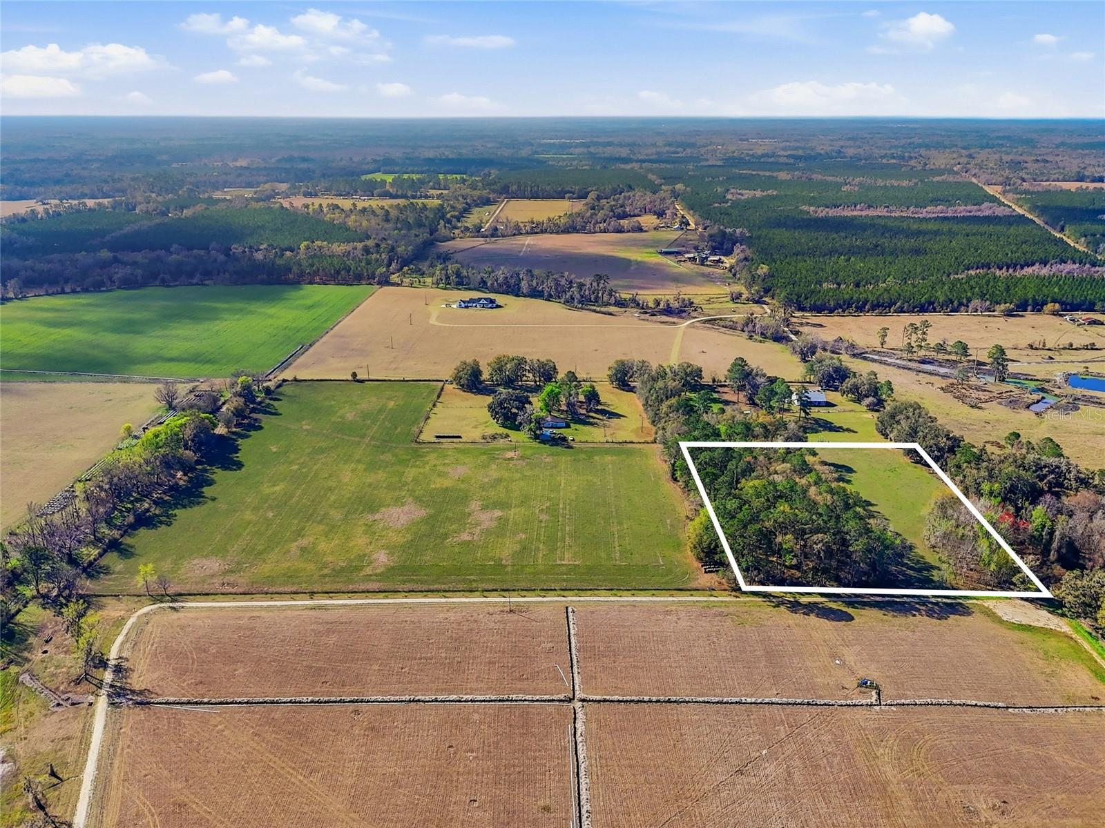 NW COUNTY RD 239, ALACHUA, FL — photo 4