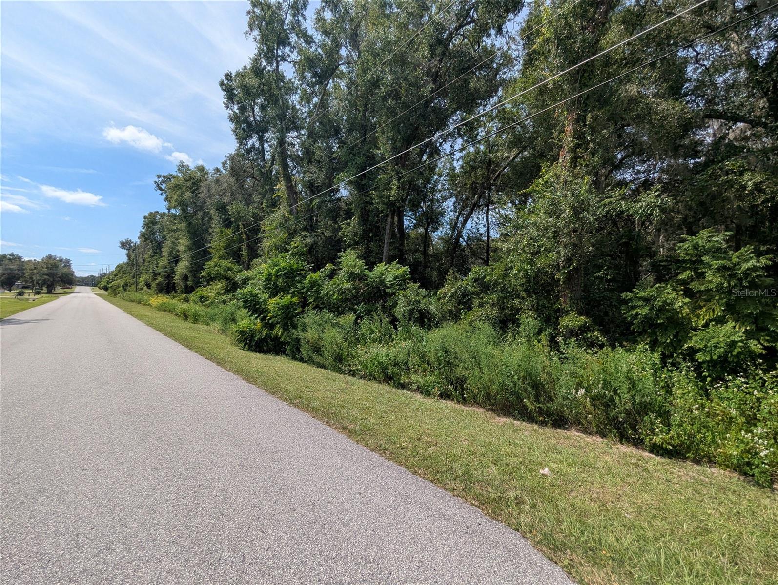 0 SE 99TH AVE, SUMMERFIELD, FL — photo 11