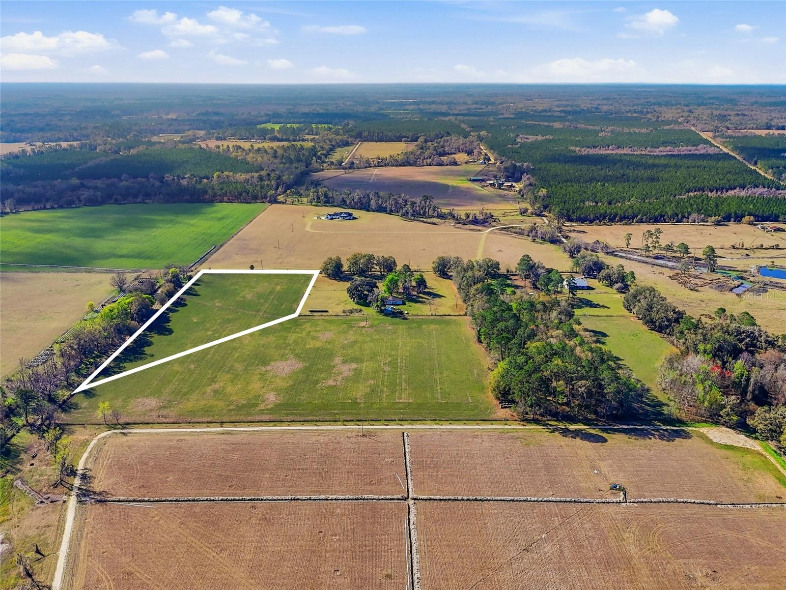 NW COUNTY RD 239, ALACHUA, FL — photo 4