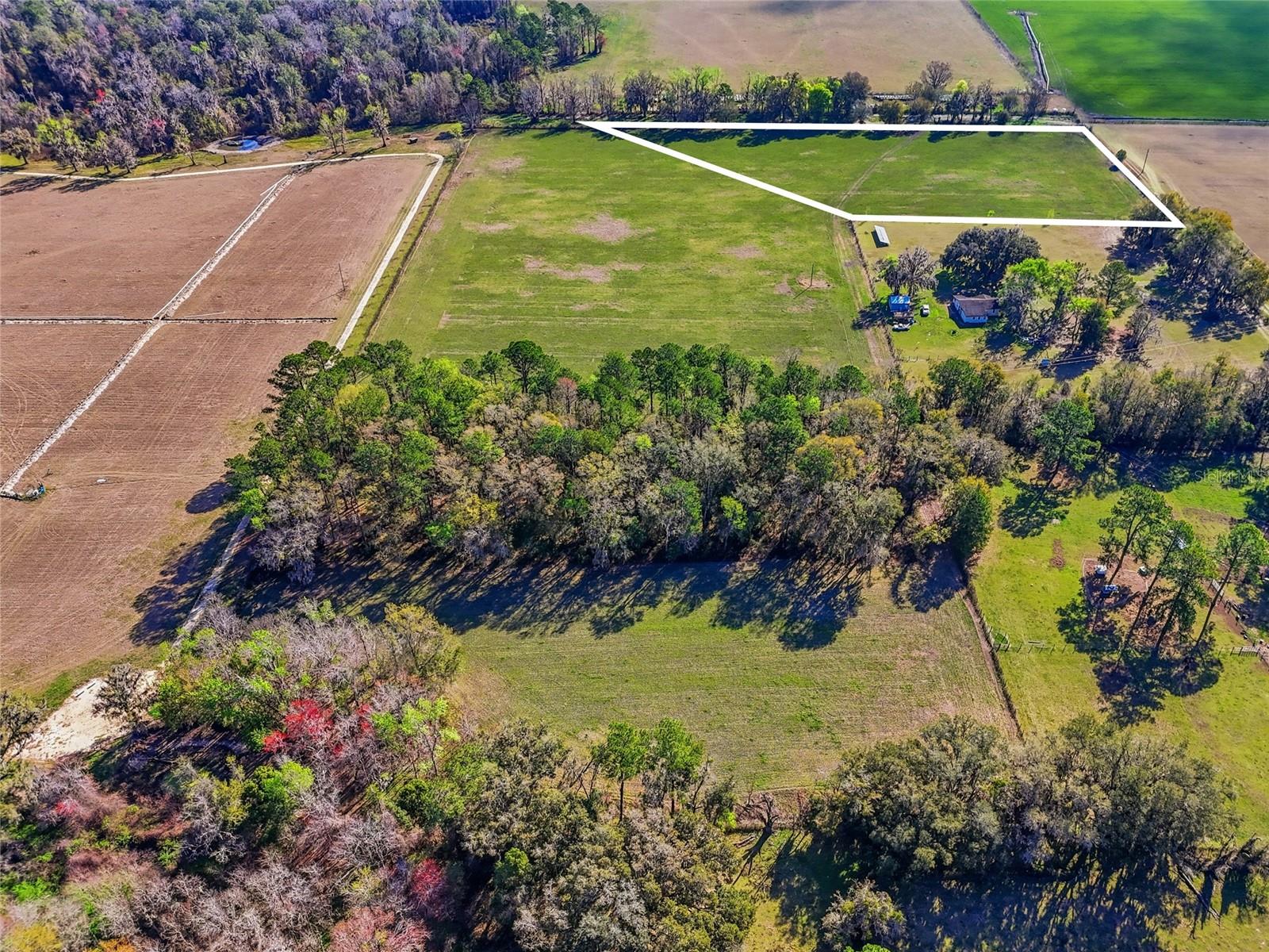 NW COUNTY RD 239, ALACHUA, FL — photo 6