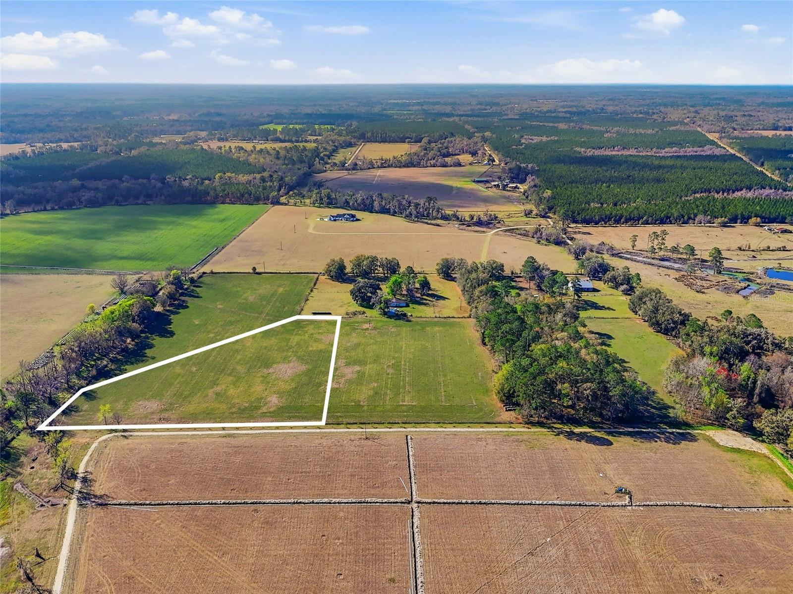 NW COUNTY RD 239, ALACHUA, FL — photo 4