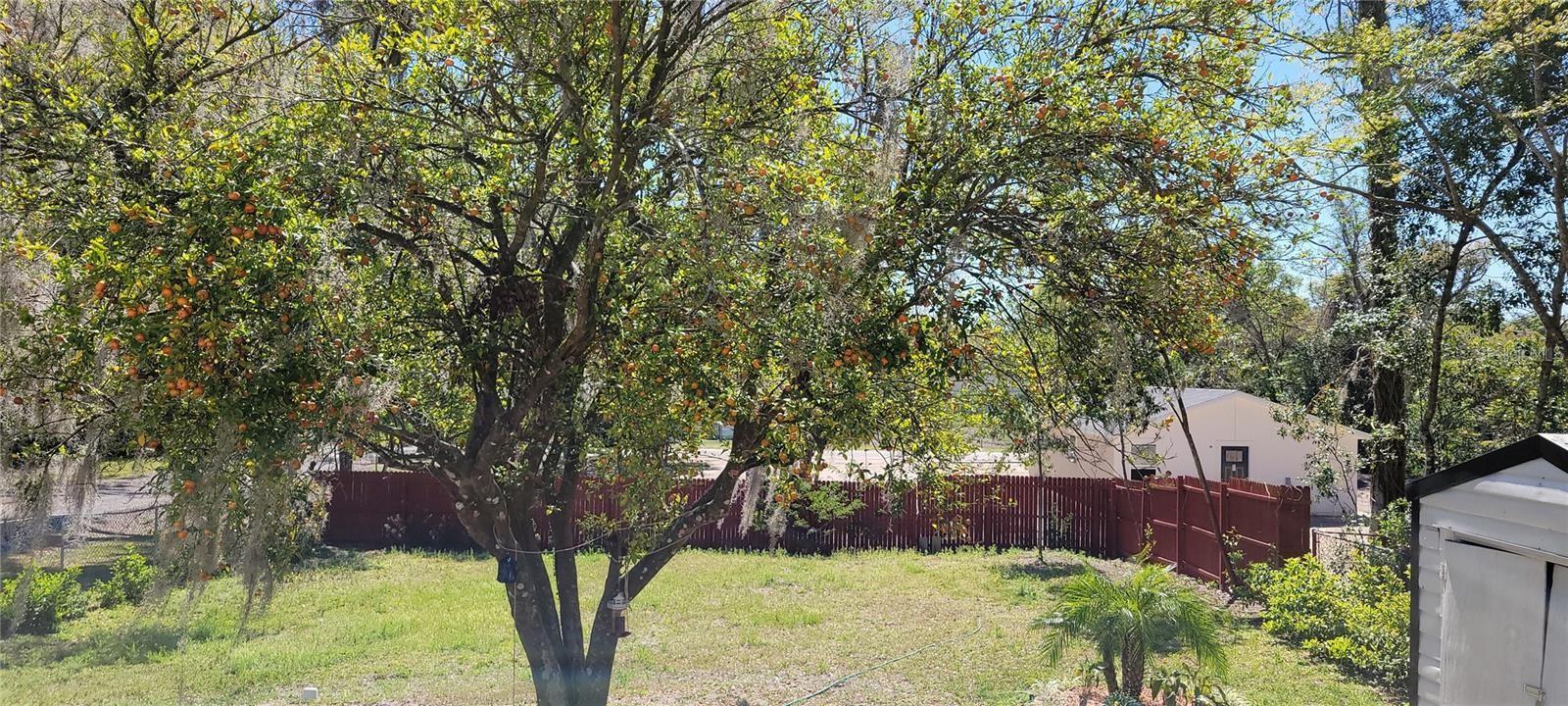 416 W HOWRY, DELAND, FL — photo 32