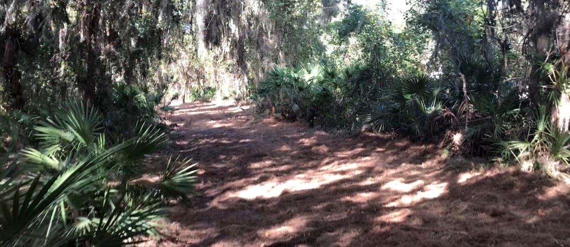 LAKE REEDY BLVD N, FROSTPROOF, FL — photo 2