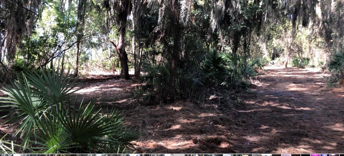 LAKE REEDY BLVD N, FROSTPROOF, FL — photo 3