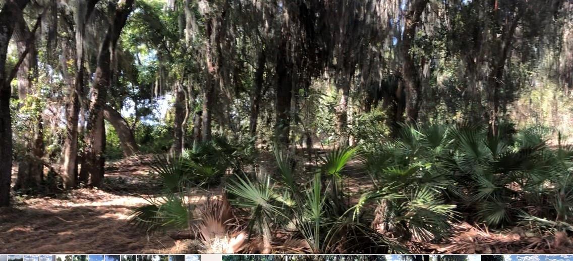 LAKE REEDY BLVD N, FROSTPROOF, FL — photo 7