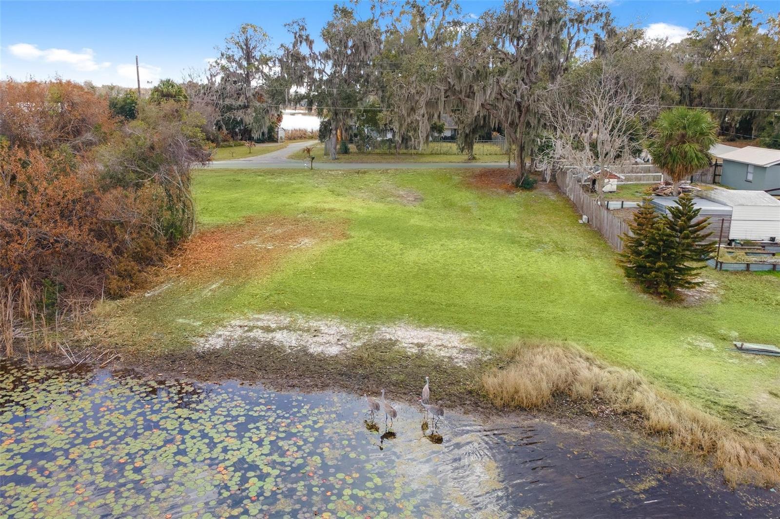 0 WILSON PARRISH RD, UMATILLA, FL — photo 15