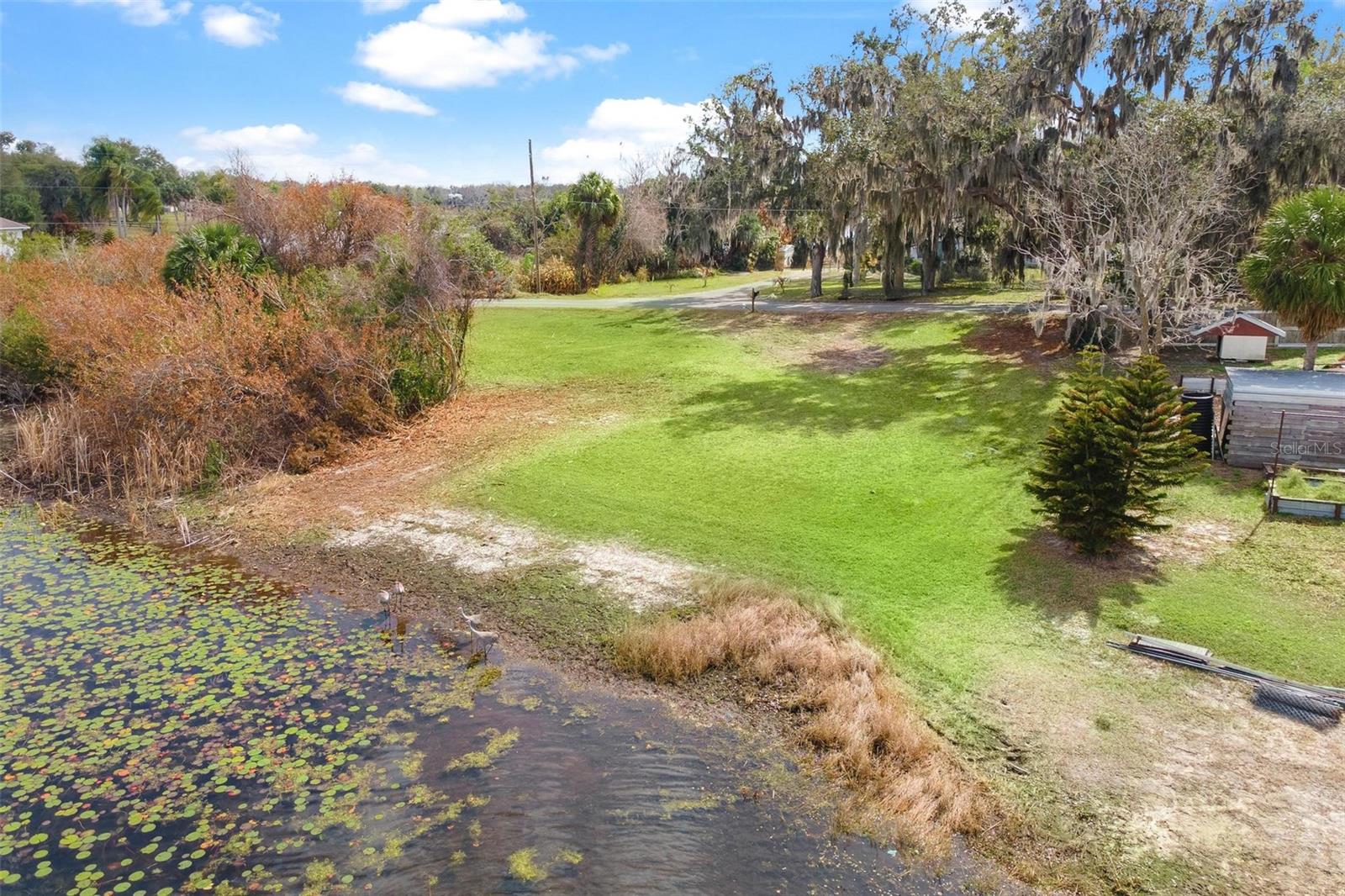 0 WILSON PARRISH RD, UMATILLA, FL — photo 18