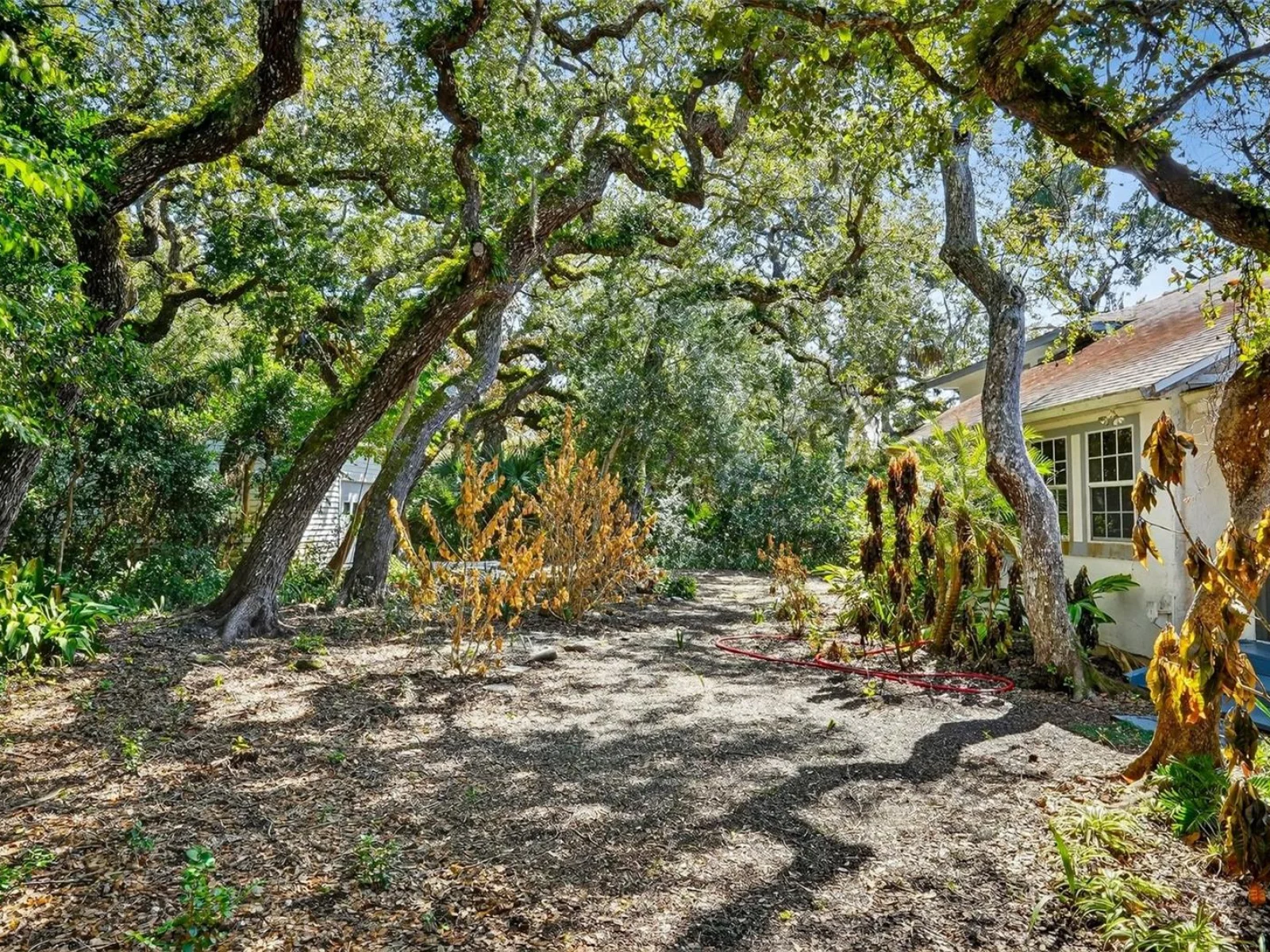 4875 SAILFISH DR, PONCE INLET, FL — photo 49